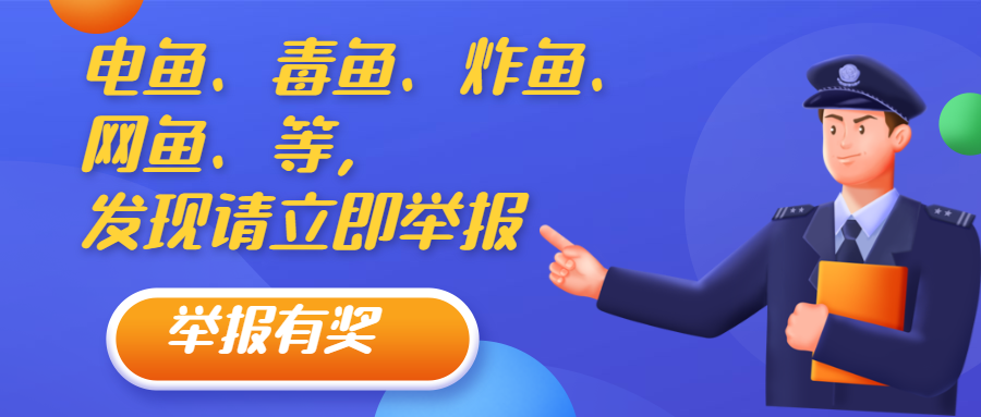 非法4.png