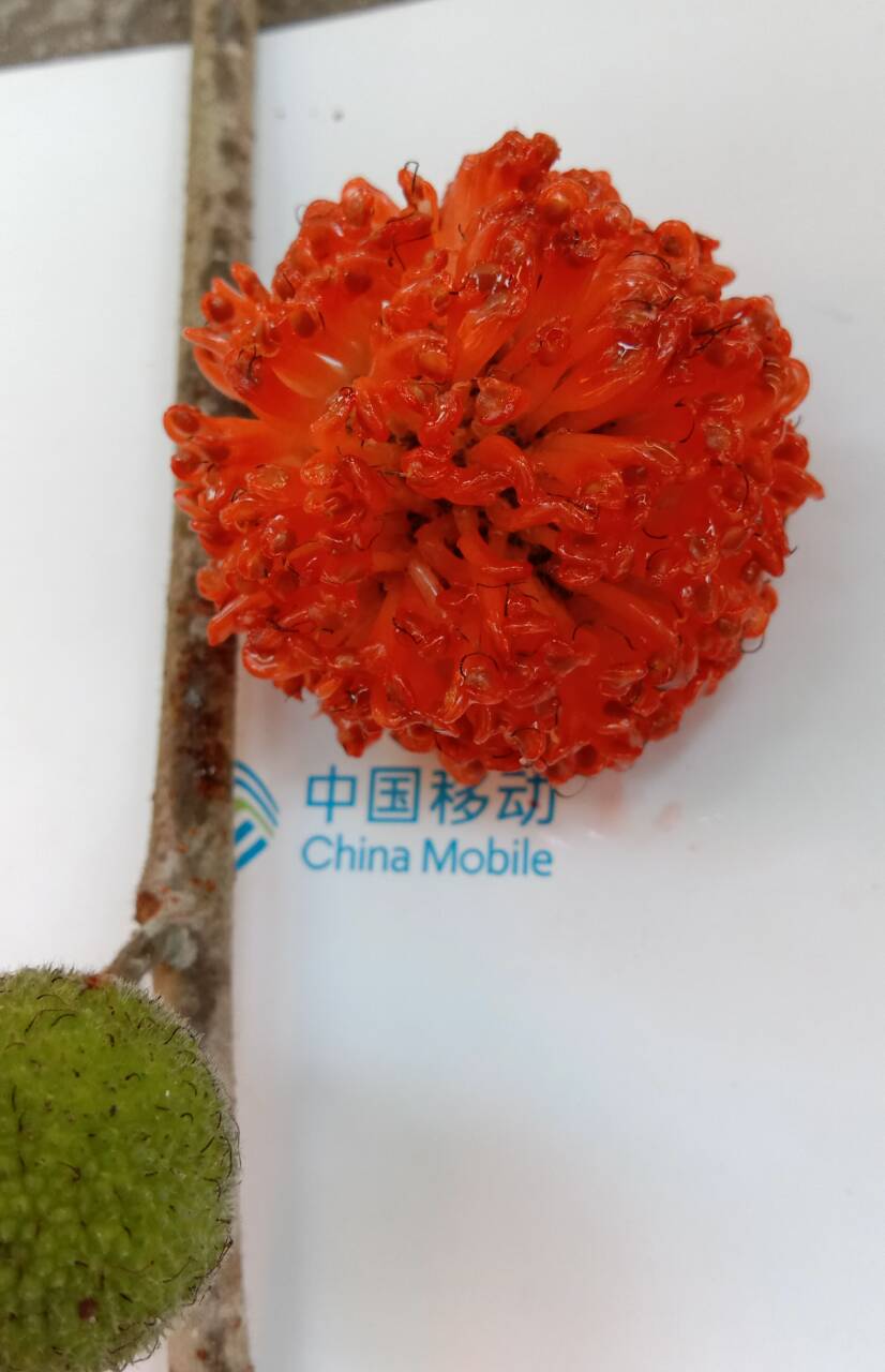 QQͼƬ20200808102715.jpg