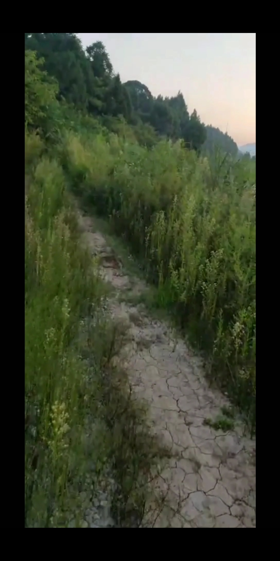 1598971687039828.png