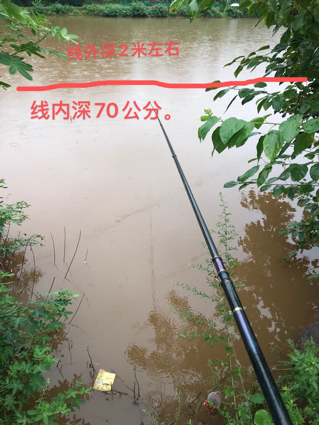 1599024108618258946.jpg