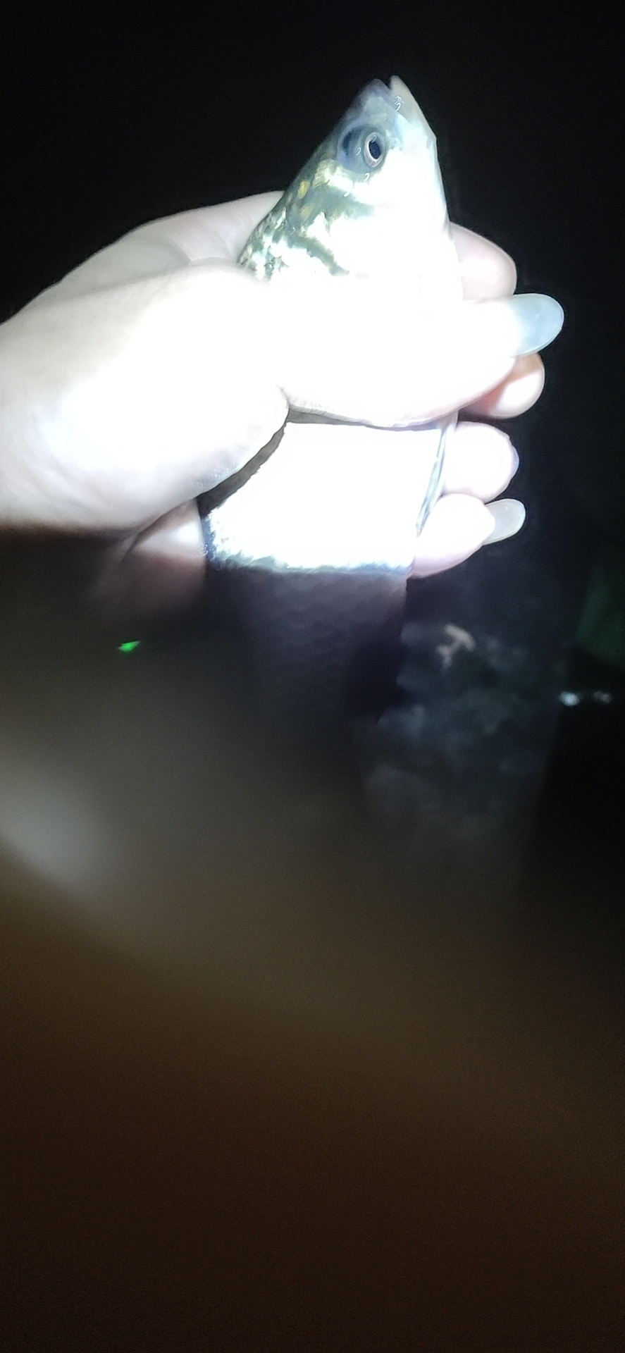 1601343275385906.jpeg