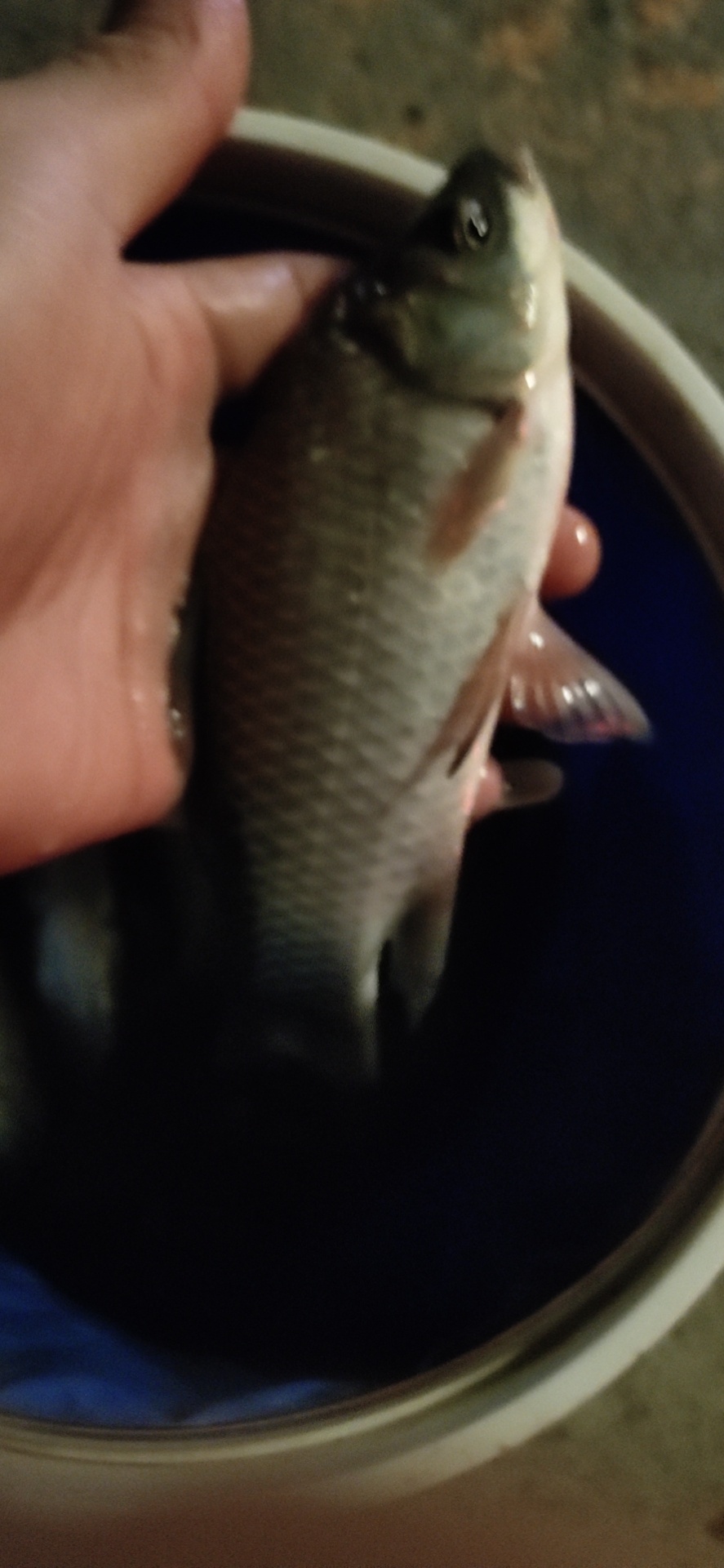 1601343275601852.jpeg