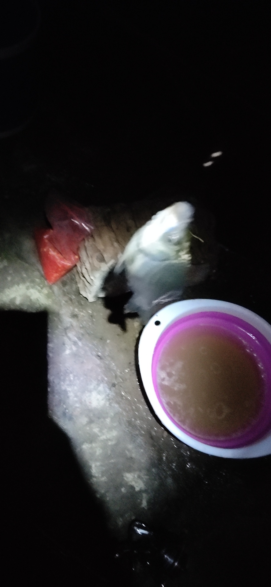 1601343275493475.jpeg