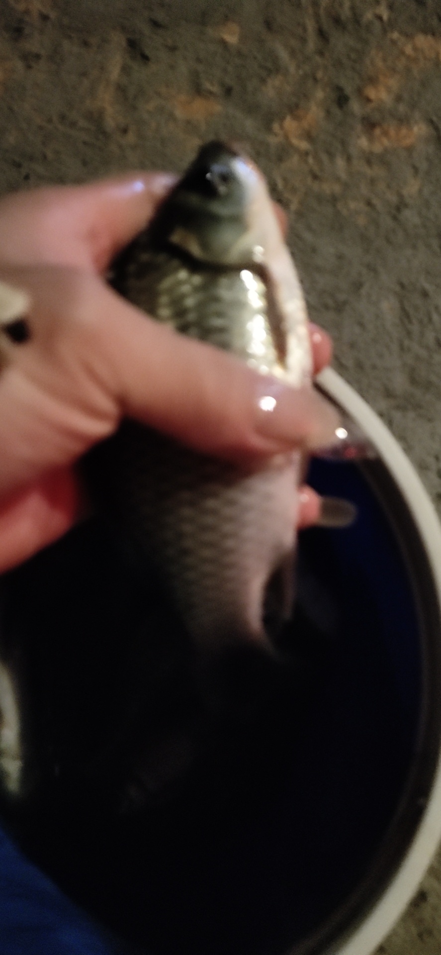 1601343275773623.jpeg
