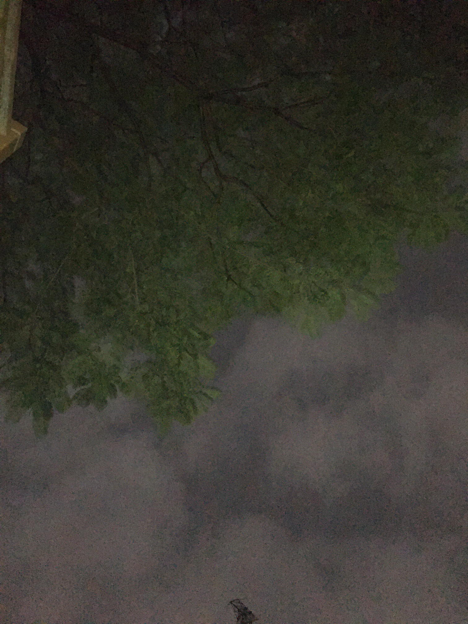 1602213377651001649.jpg
