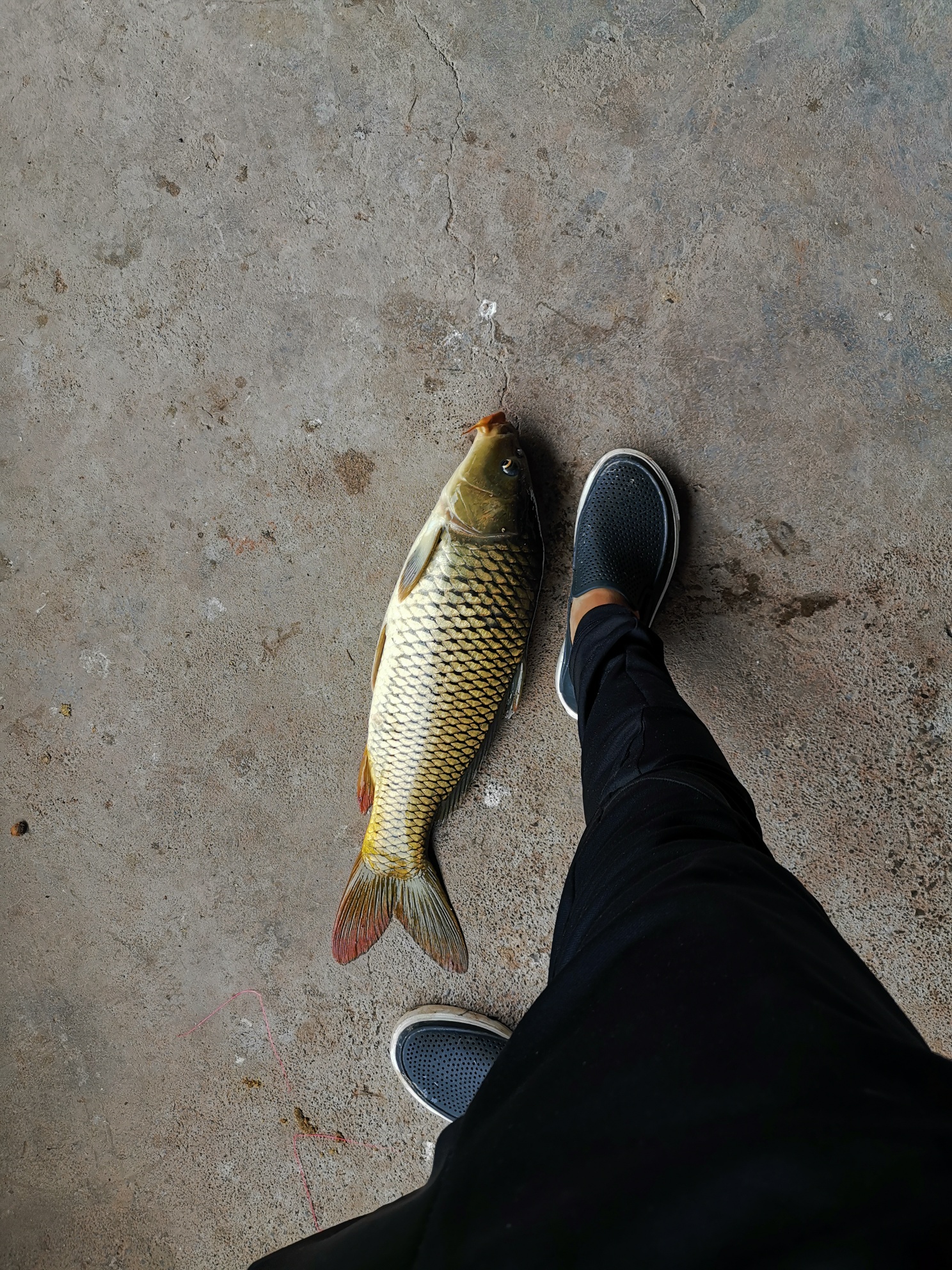 160320680702538.jpeg