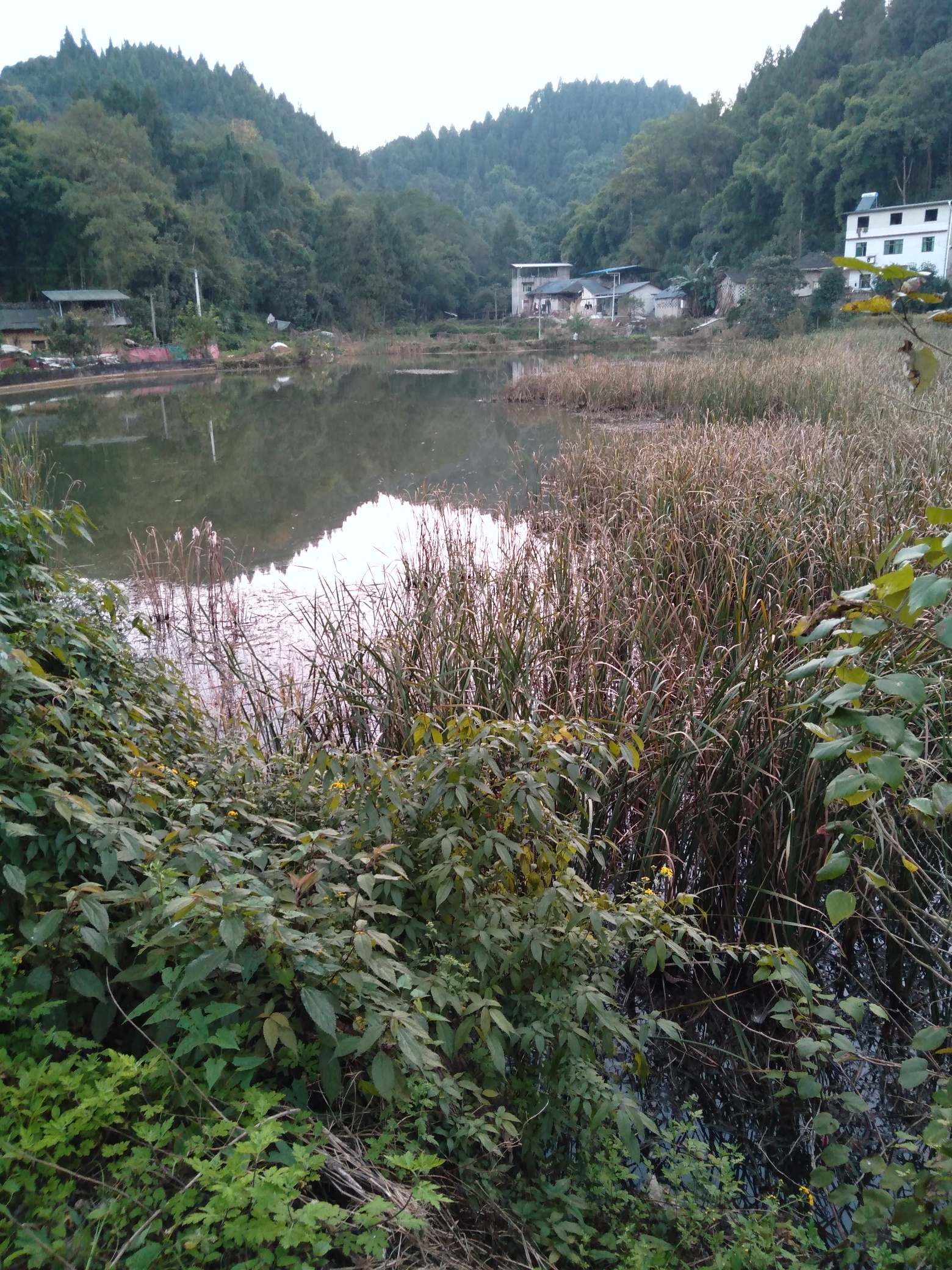 1605409277800348.jpeg