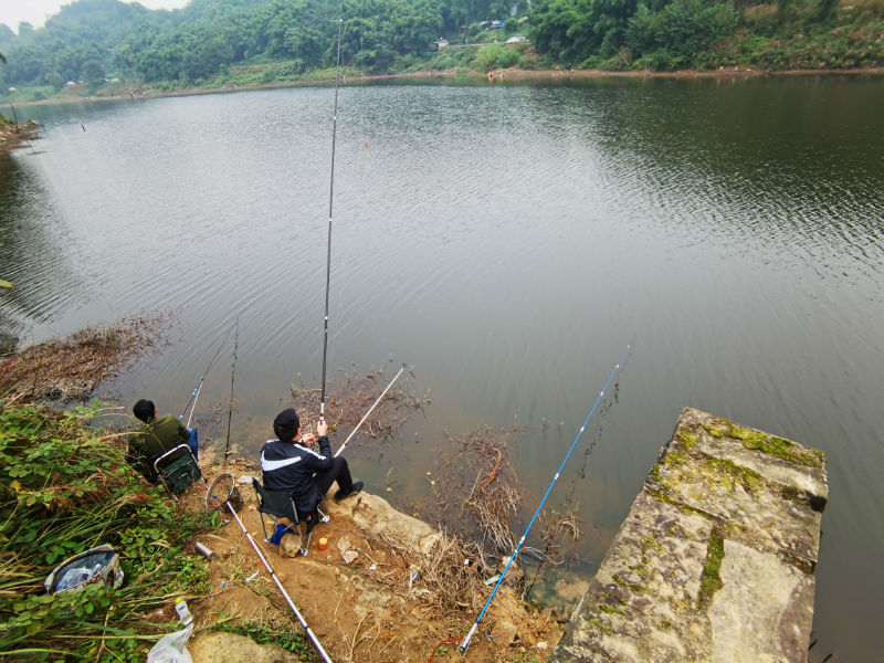 161107prd1sbz2g0w2d8gb.jpg