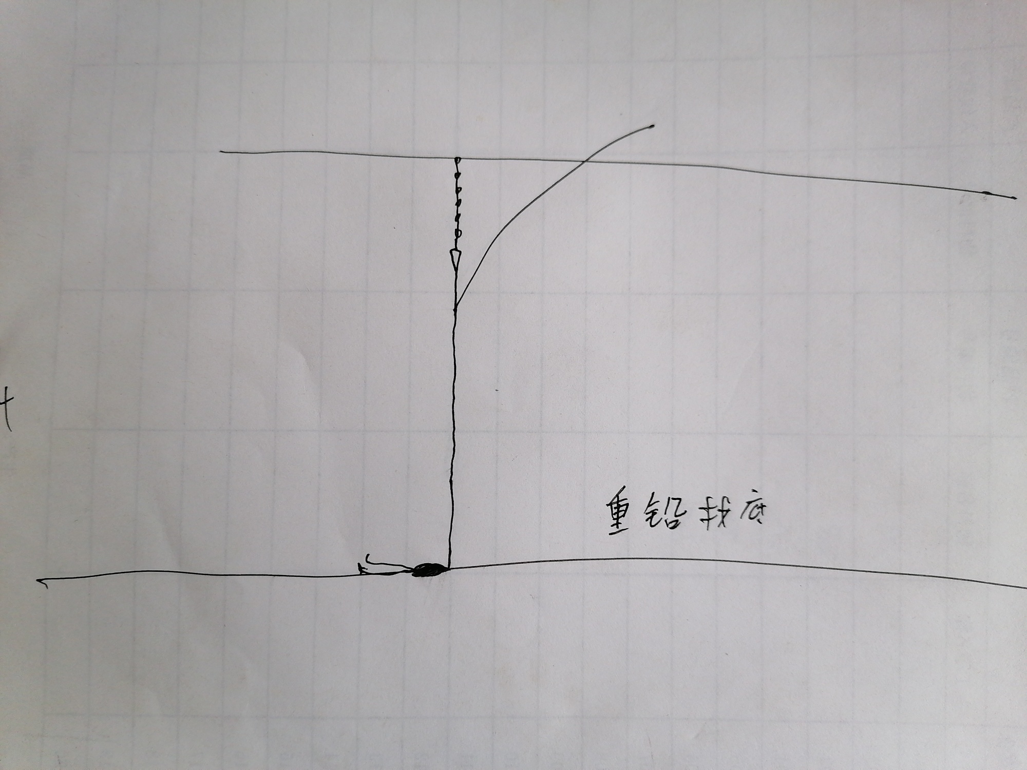1606991430155361.jpeg