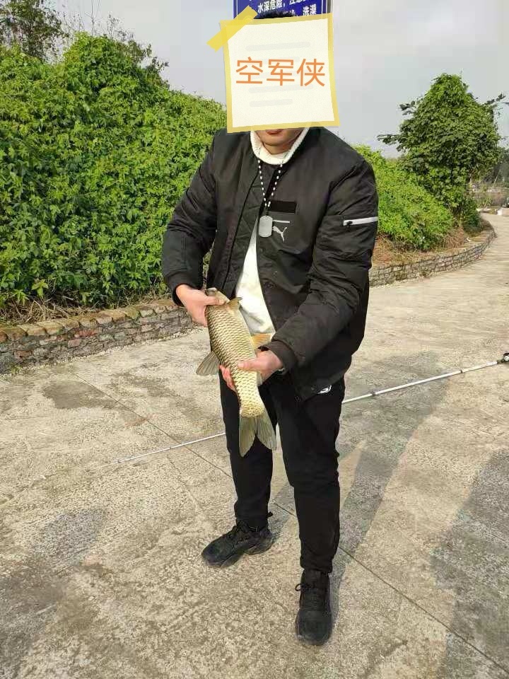 160868481330424.jpeg