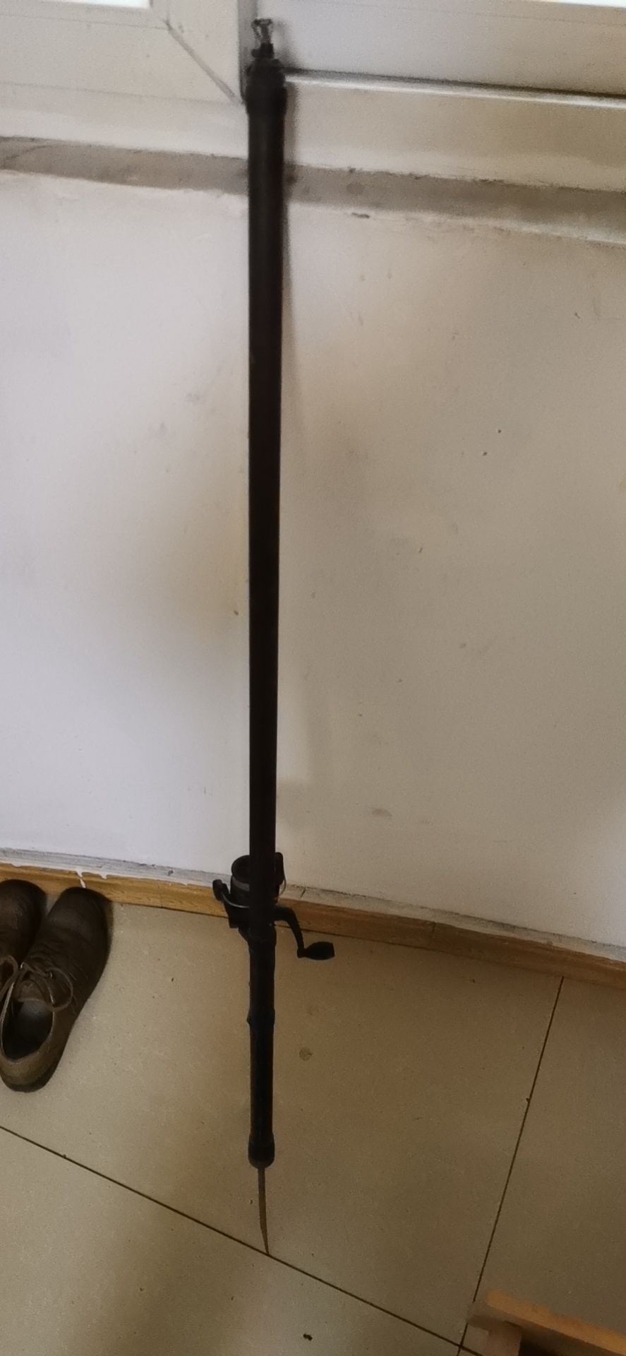 161002415688576.jpeg
