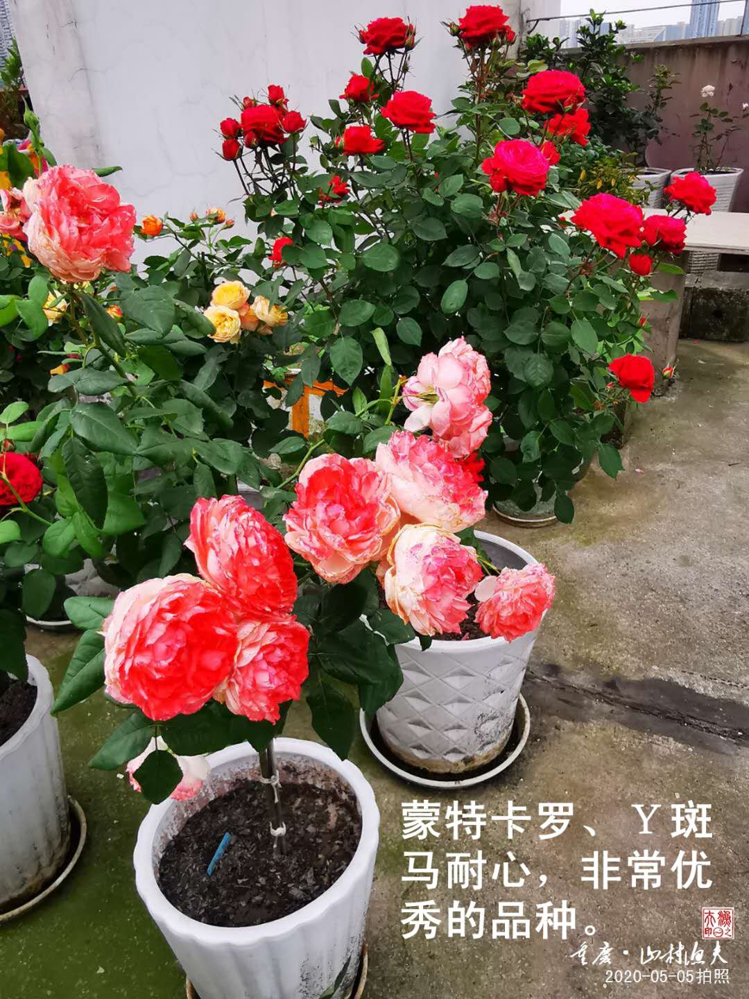 A03.jpg