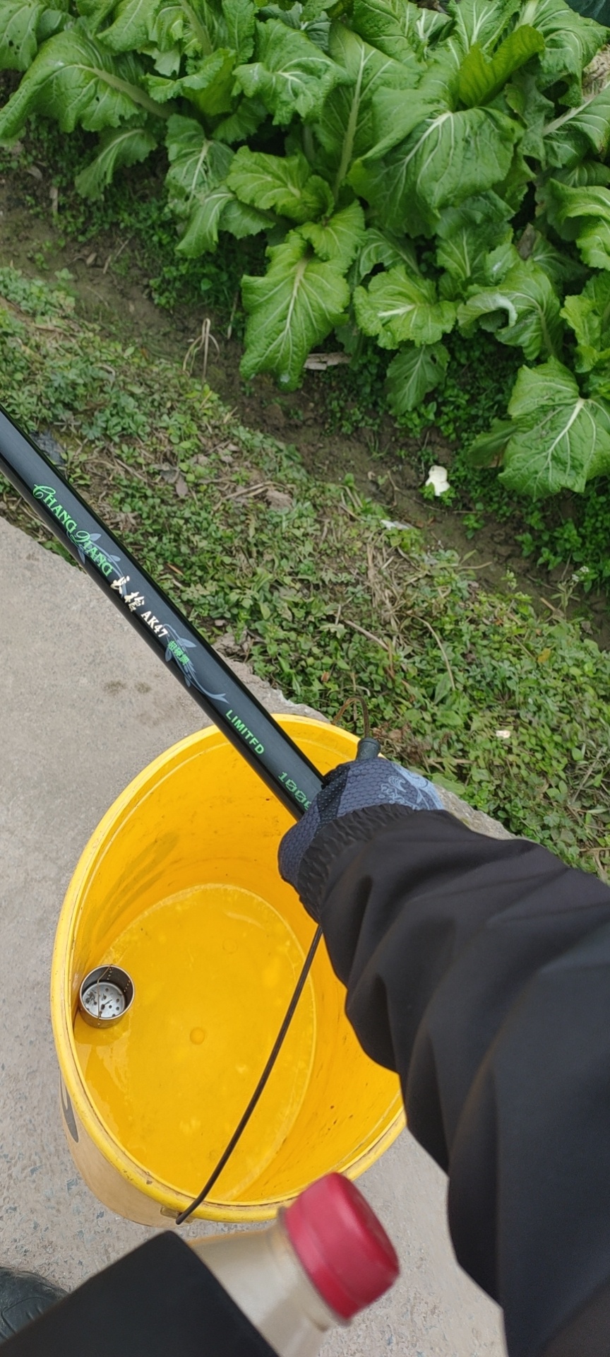 1610785619031820.jpeg