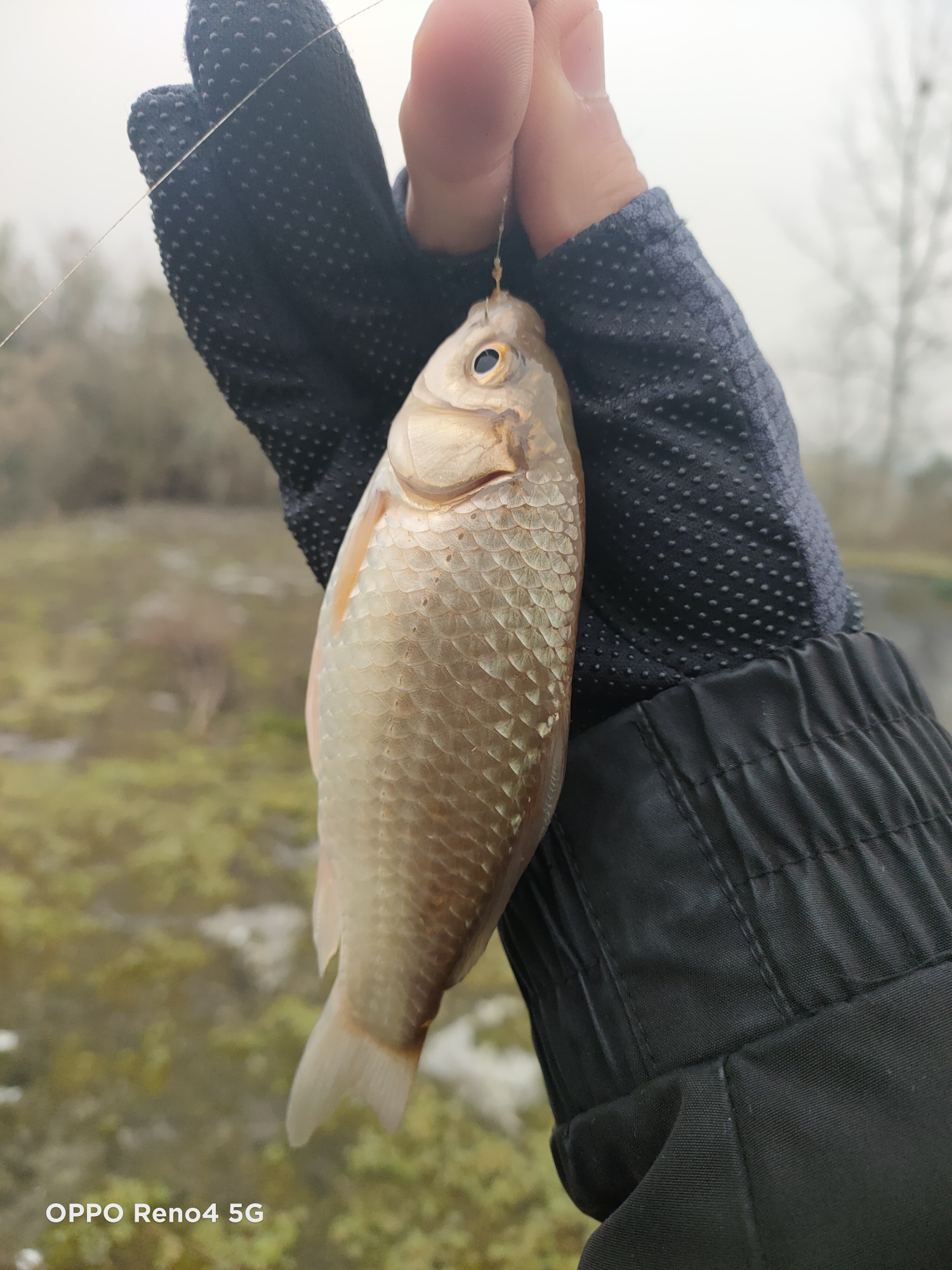 1610786111521862.jpeg