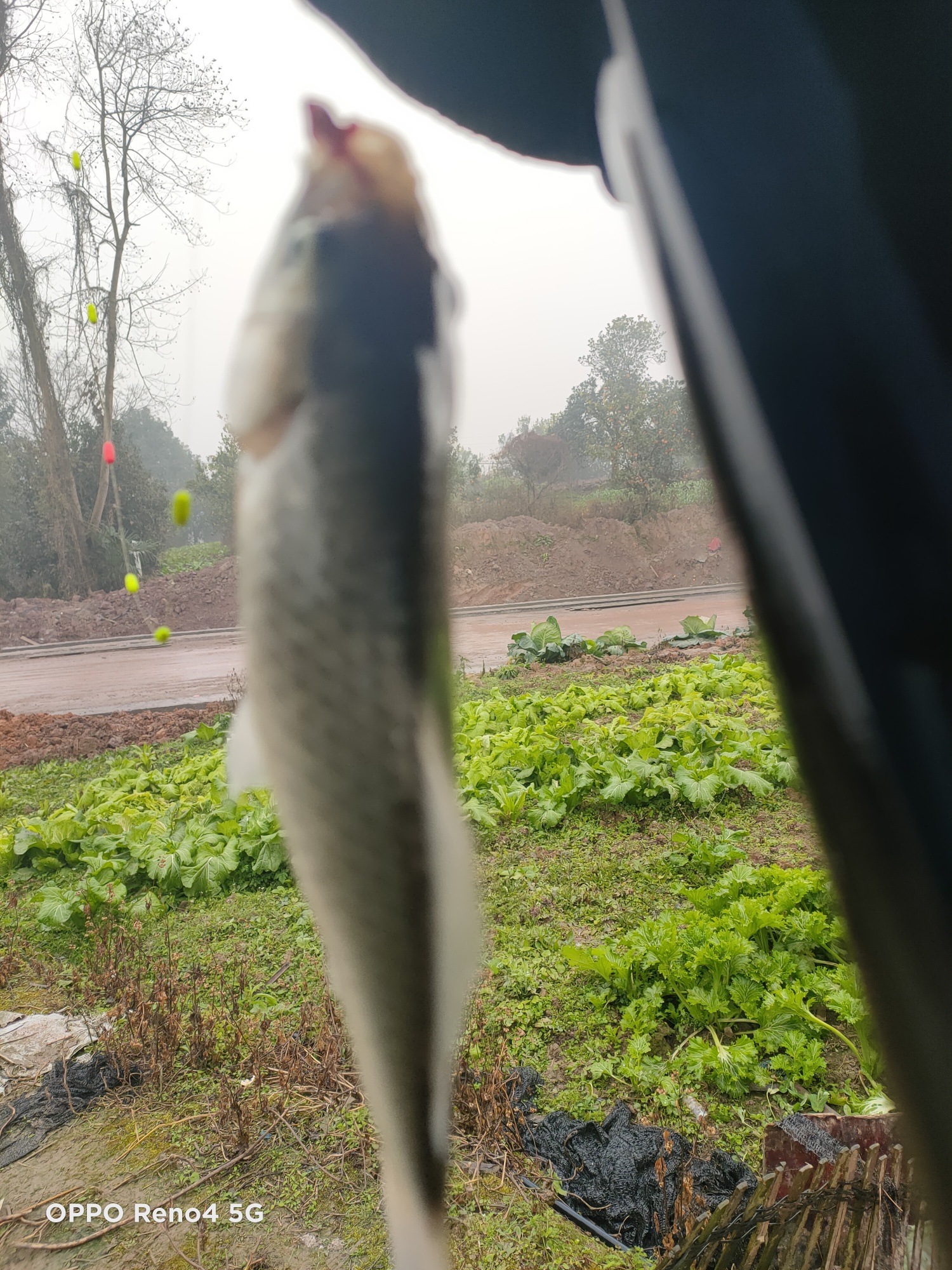 1610786686829628.jpeg
