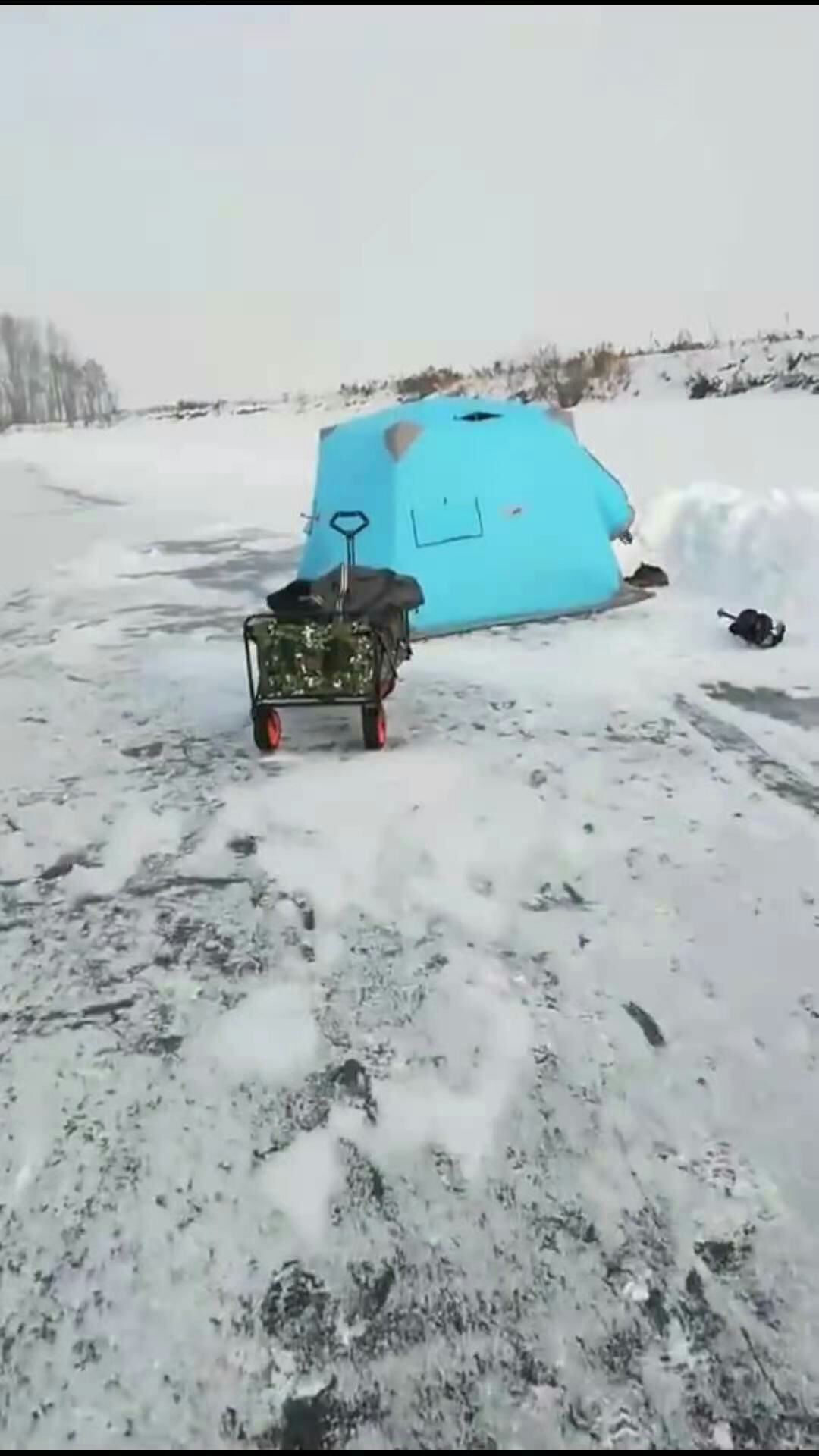 1611357920927547.jpeg