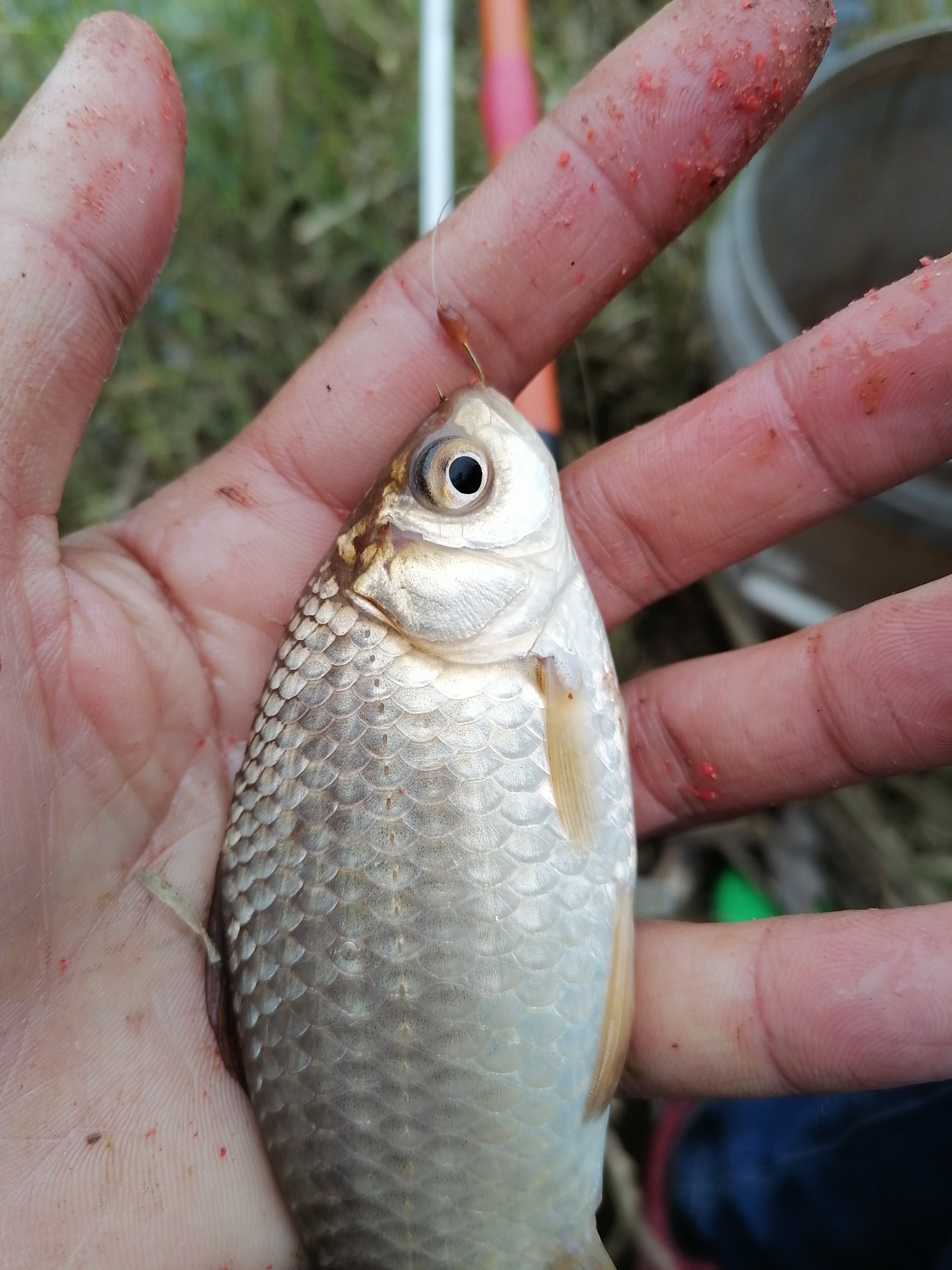 1611414240902777.jpeg