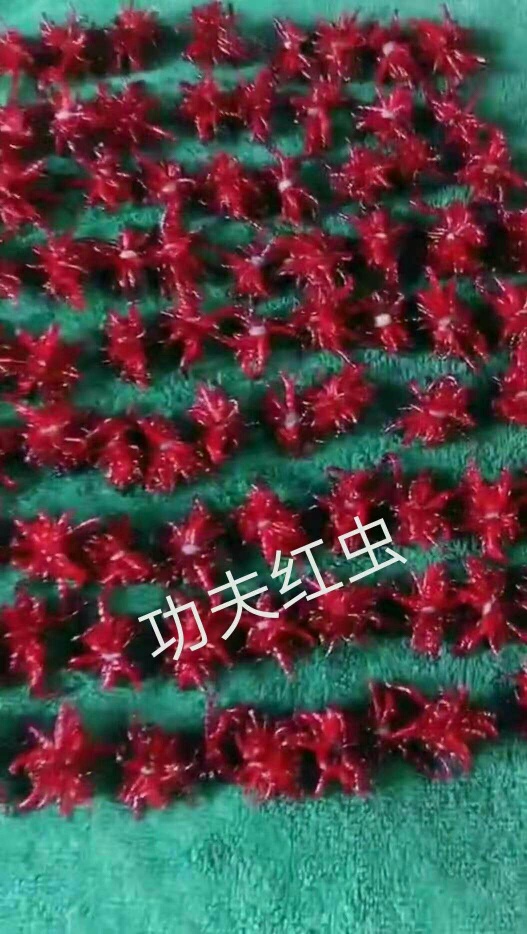 1611451556881186.jpeg