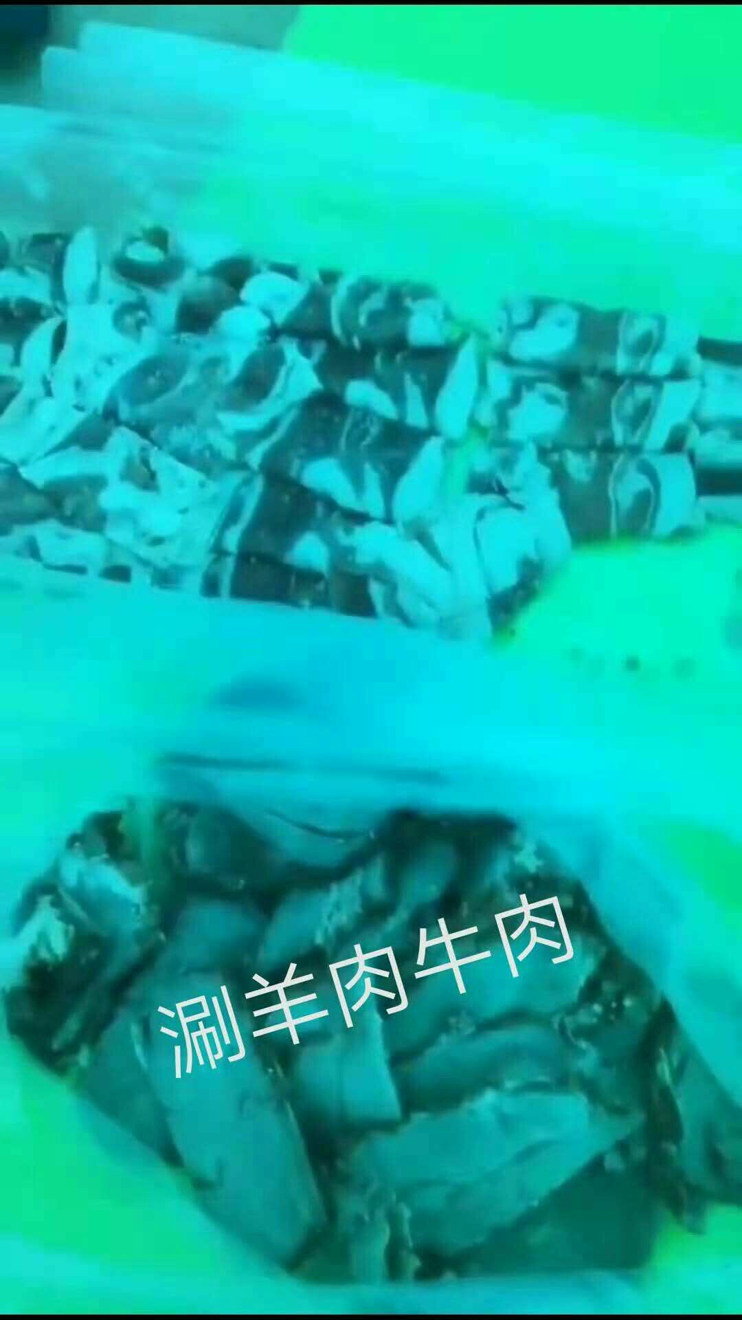 1611451586643539.jpeg
