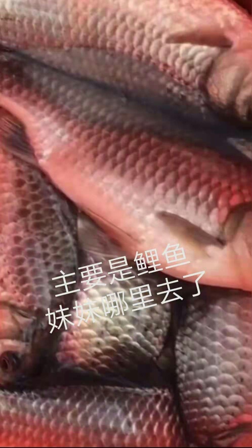 1611648371048996.jpeg