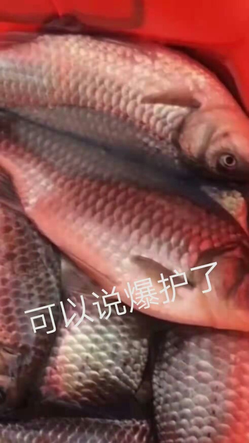 1611648370965560.jpeg