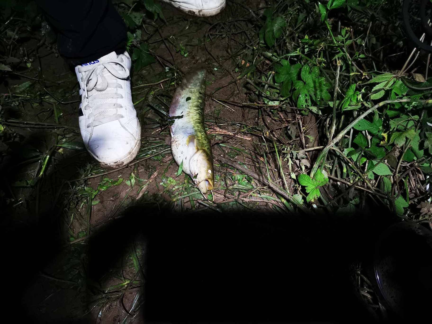 1611715019265645.jpeg