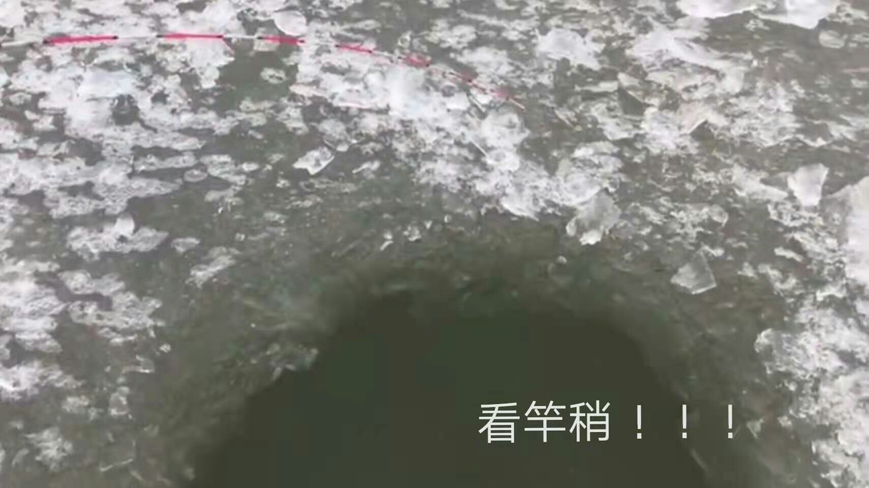 1611807501456678.jpeg