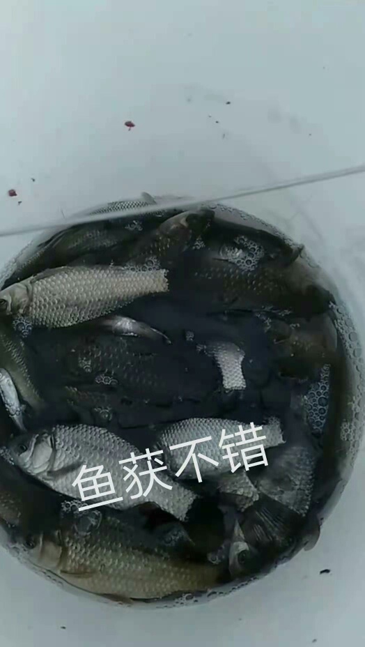 1612148604227481.jpeg