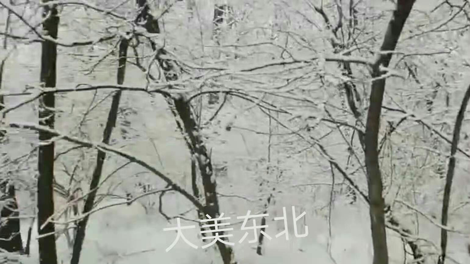 1612420403407173.jpeg