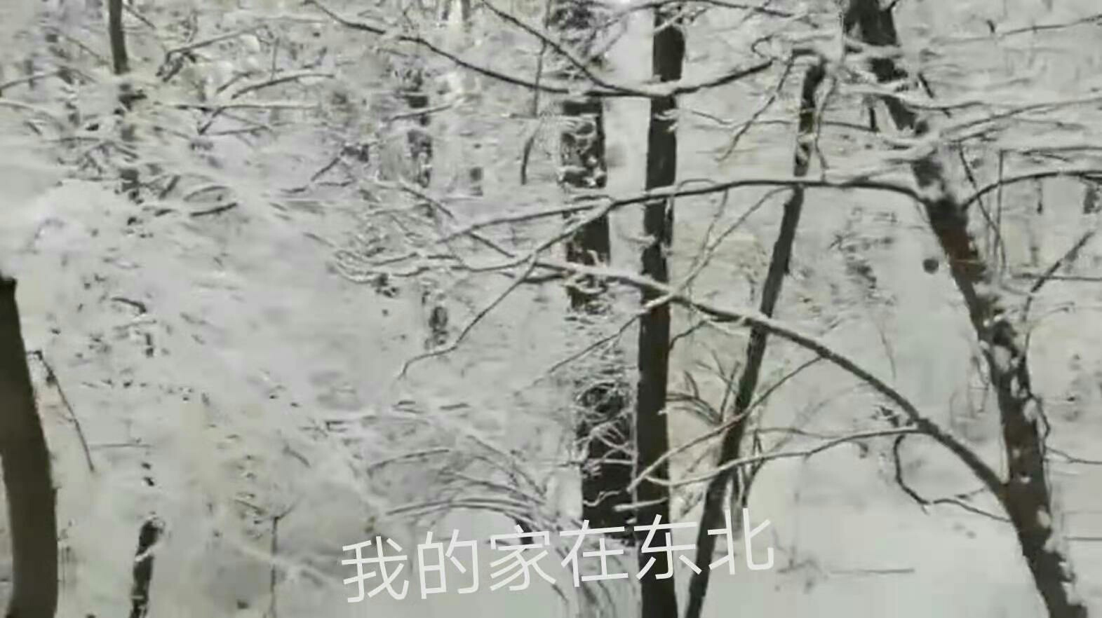 1612420403230561.jpeg