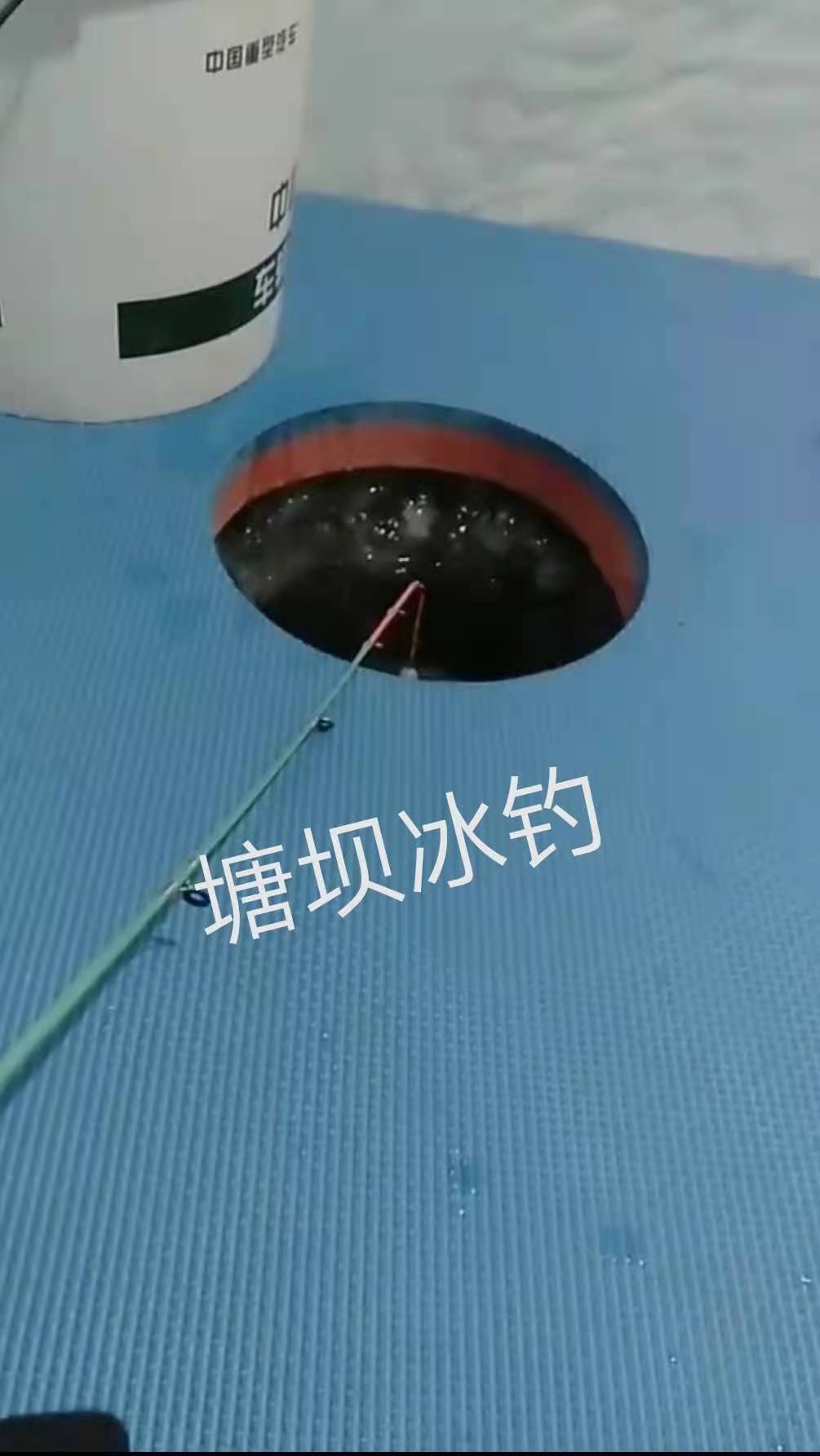 mmexport1612757631918.jpg