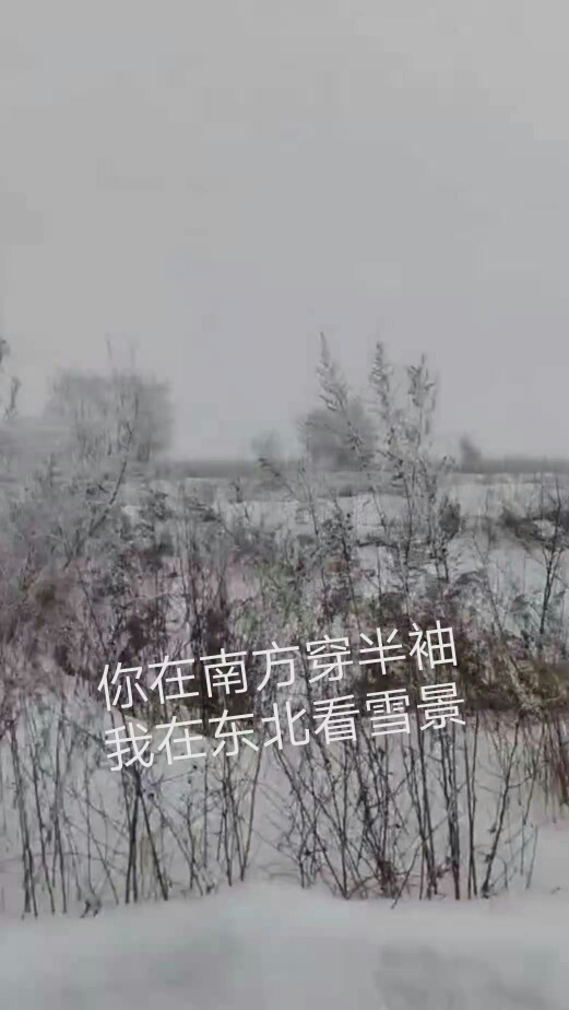 1613692775281108.jpeg