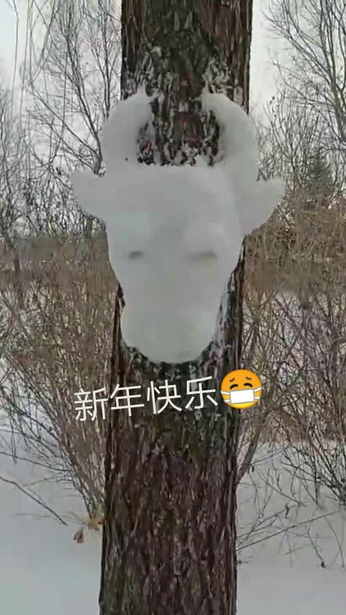 1613820957451923.jpeg
