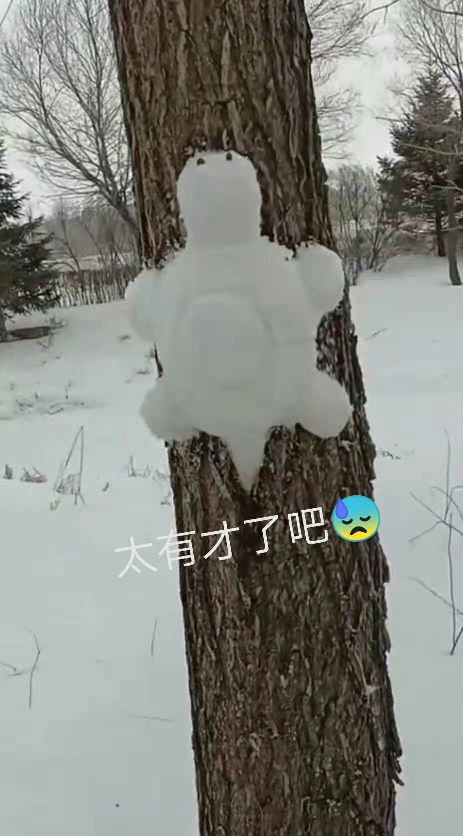 1613821018935386.jpeg