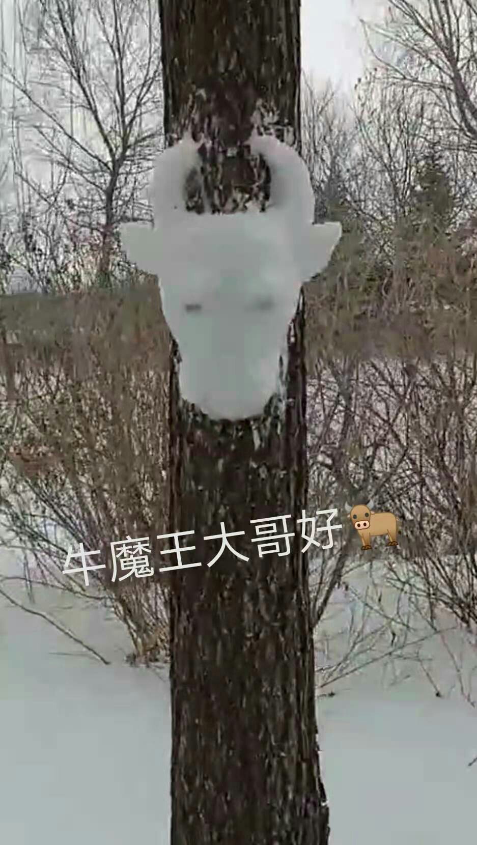 1613821019464369.jpeg
