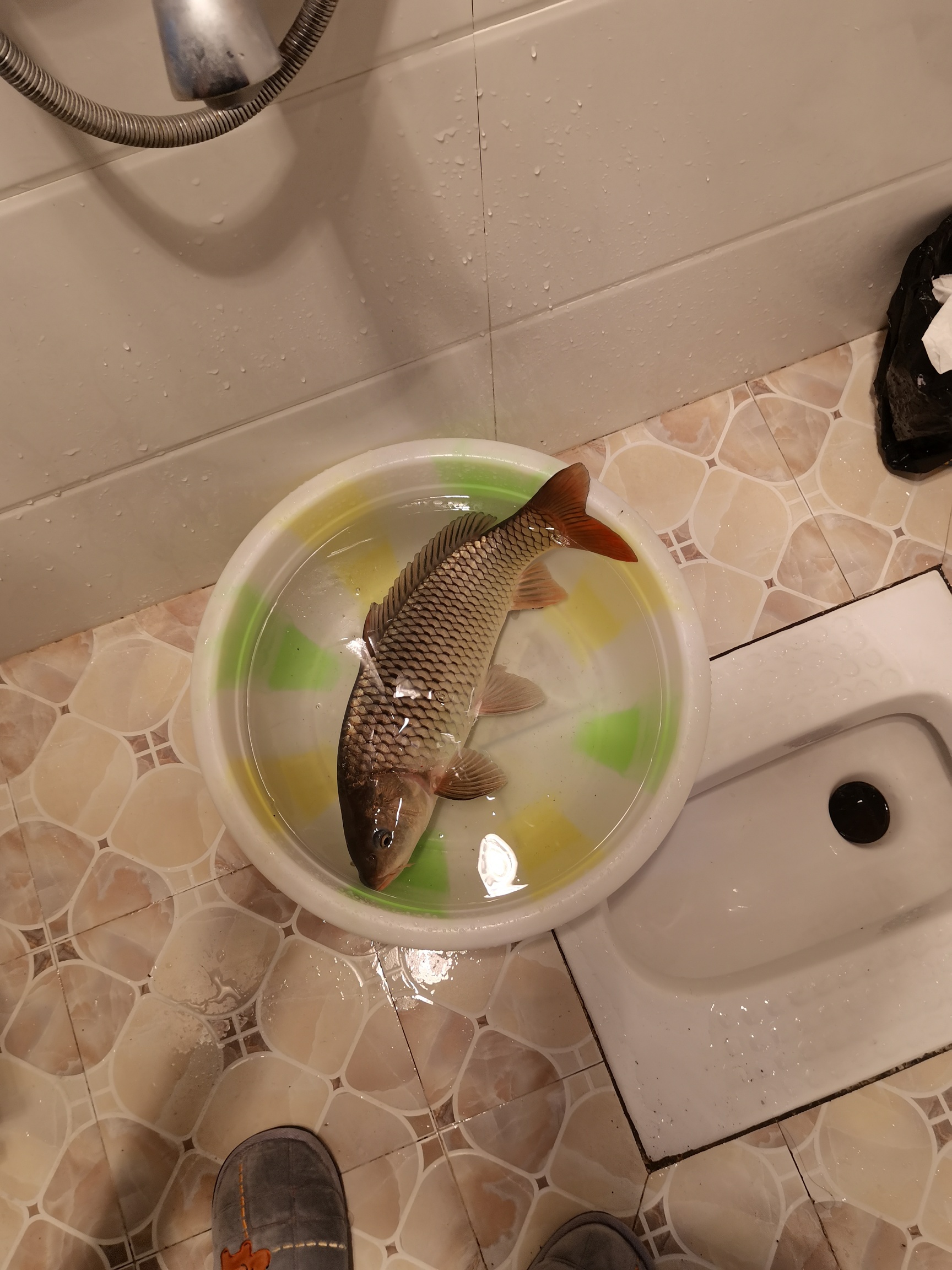 1614014352183659.jpeg