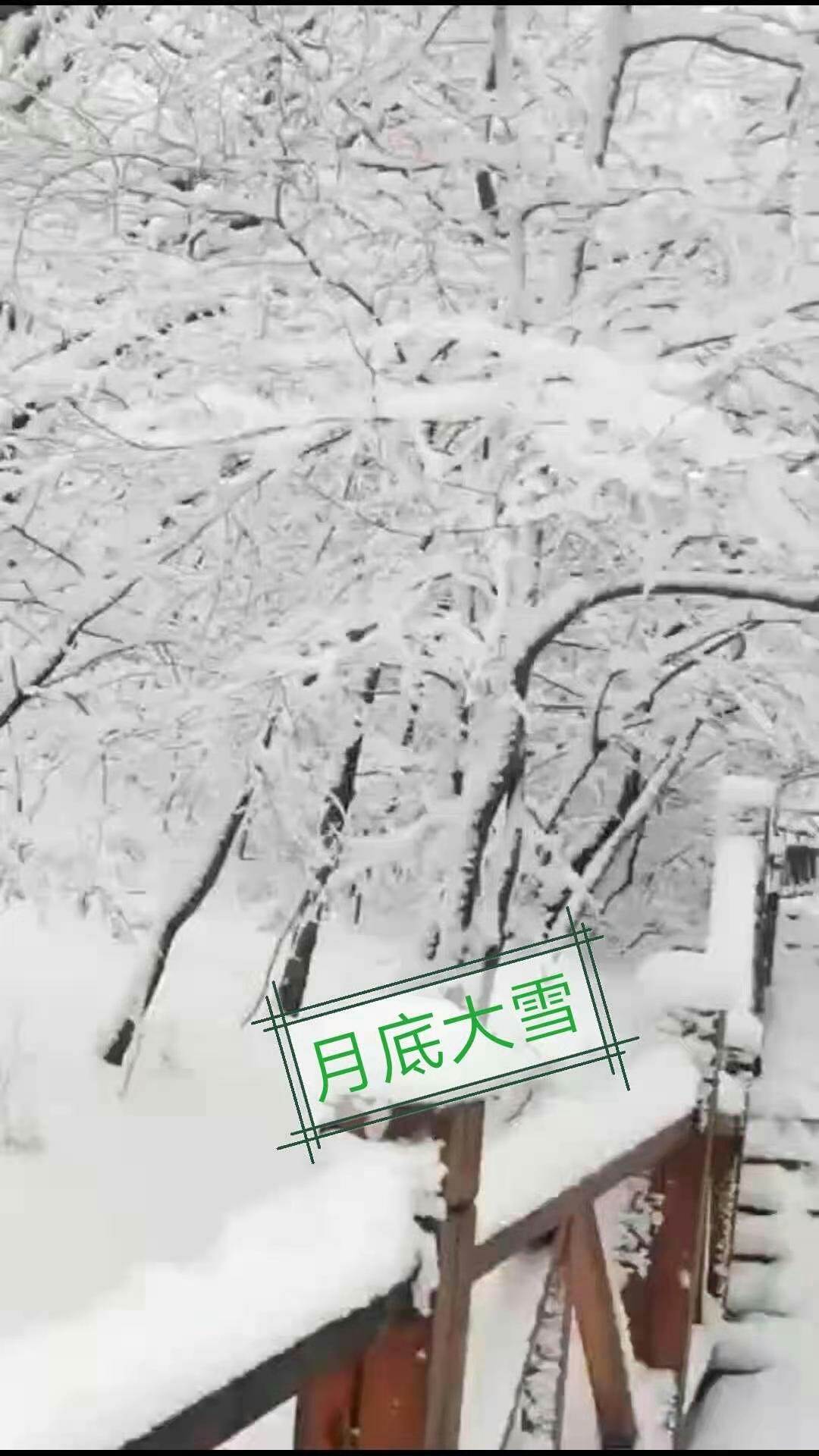 1614654802703577.jpeg