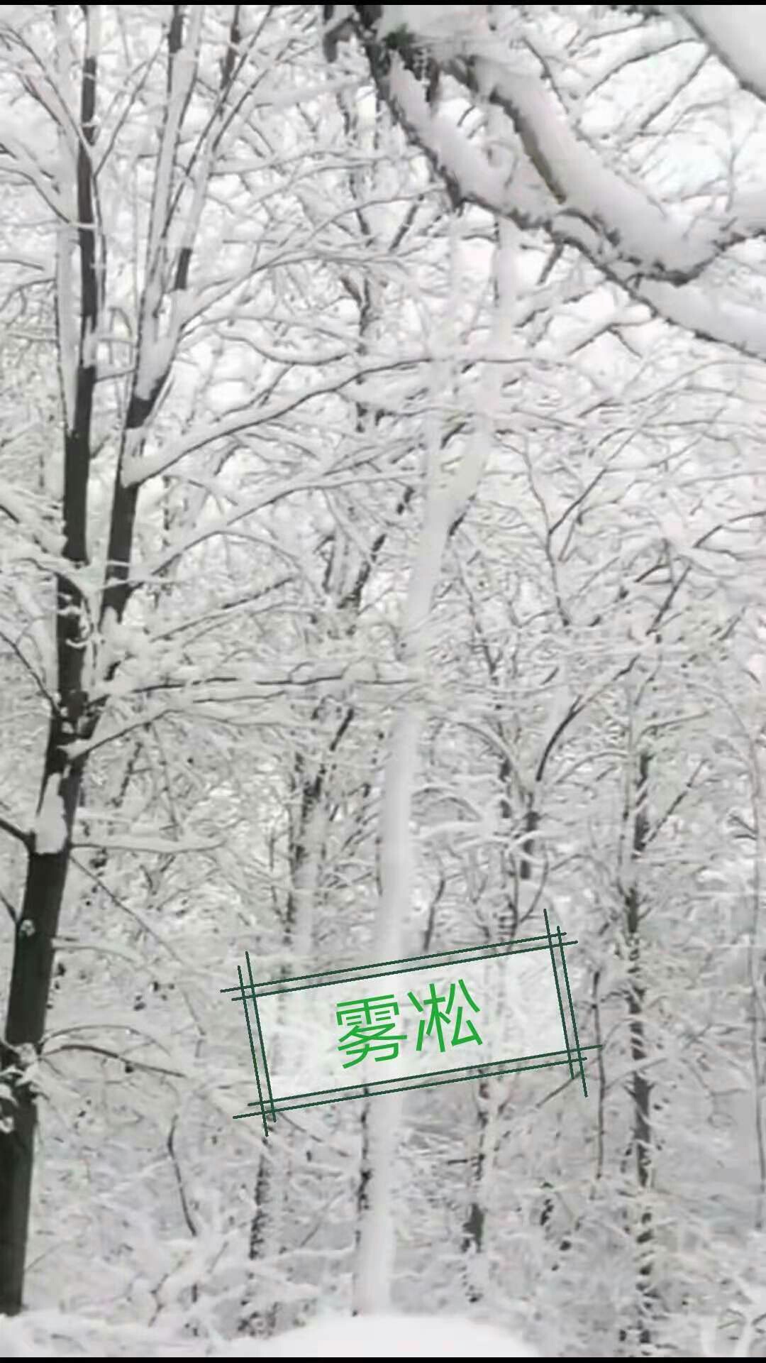161465483901616.jpeg
