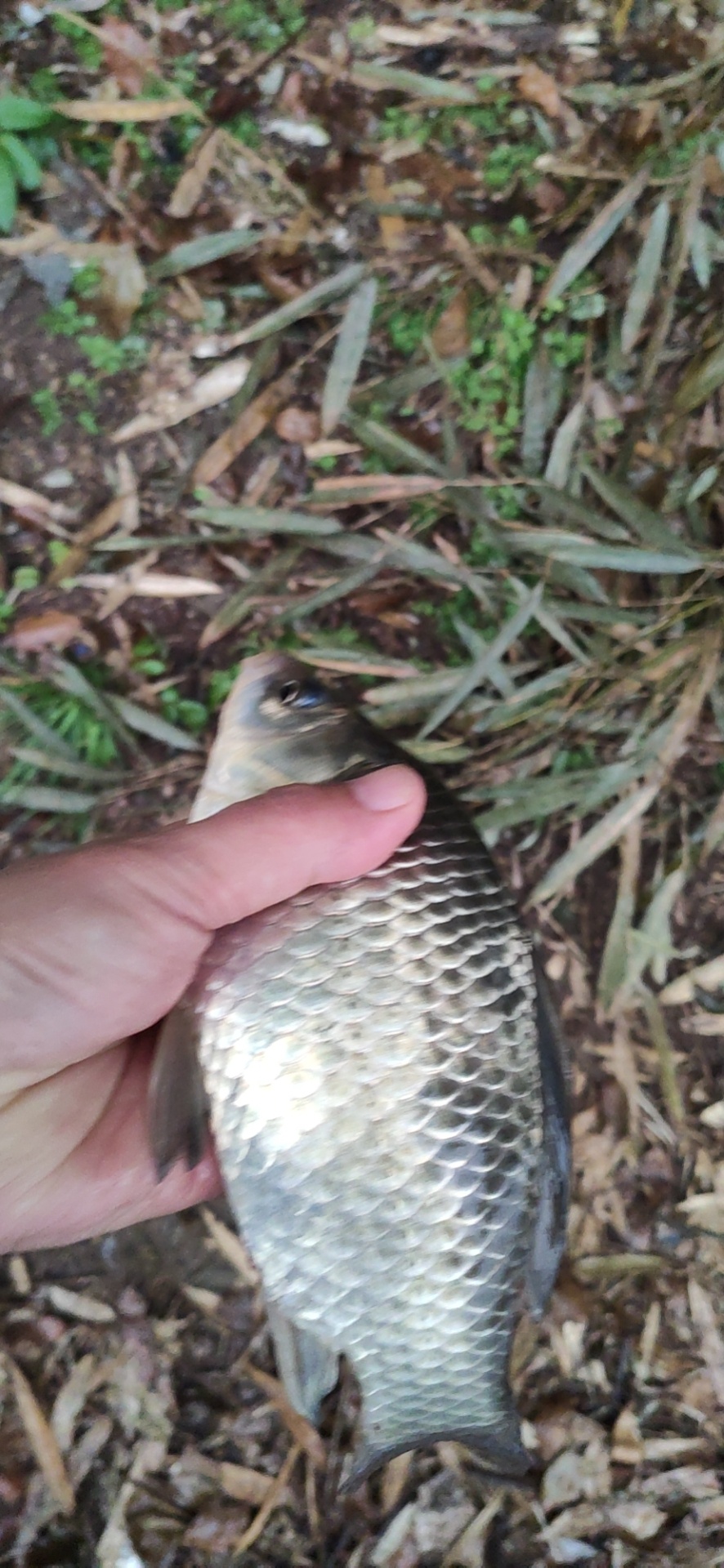 1614909411164163.jpeg