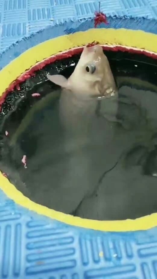 1615531532444729.jpeg