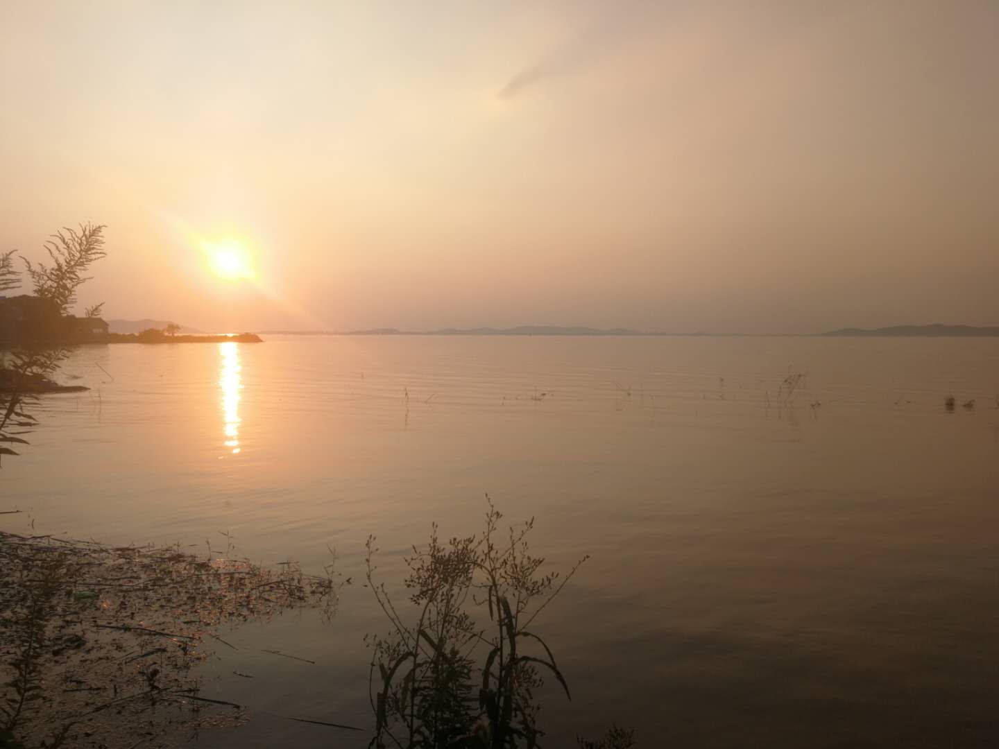 mmexport1586737687790.jpg