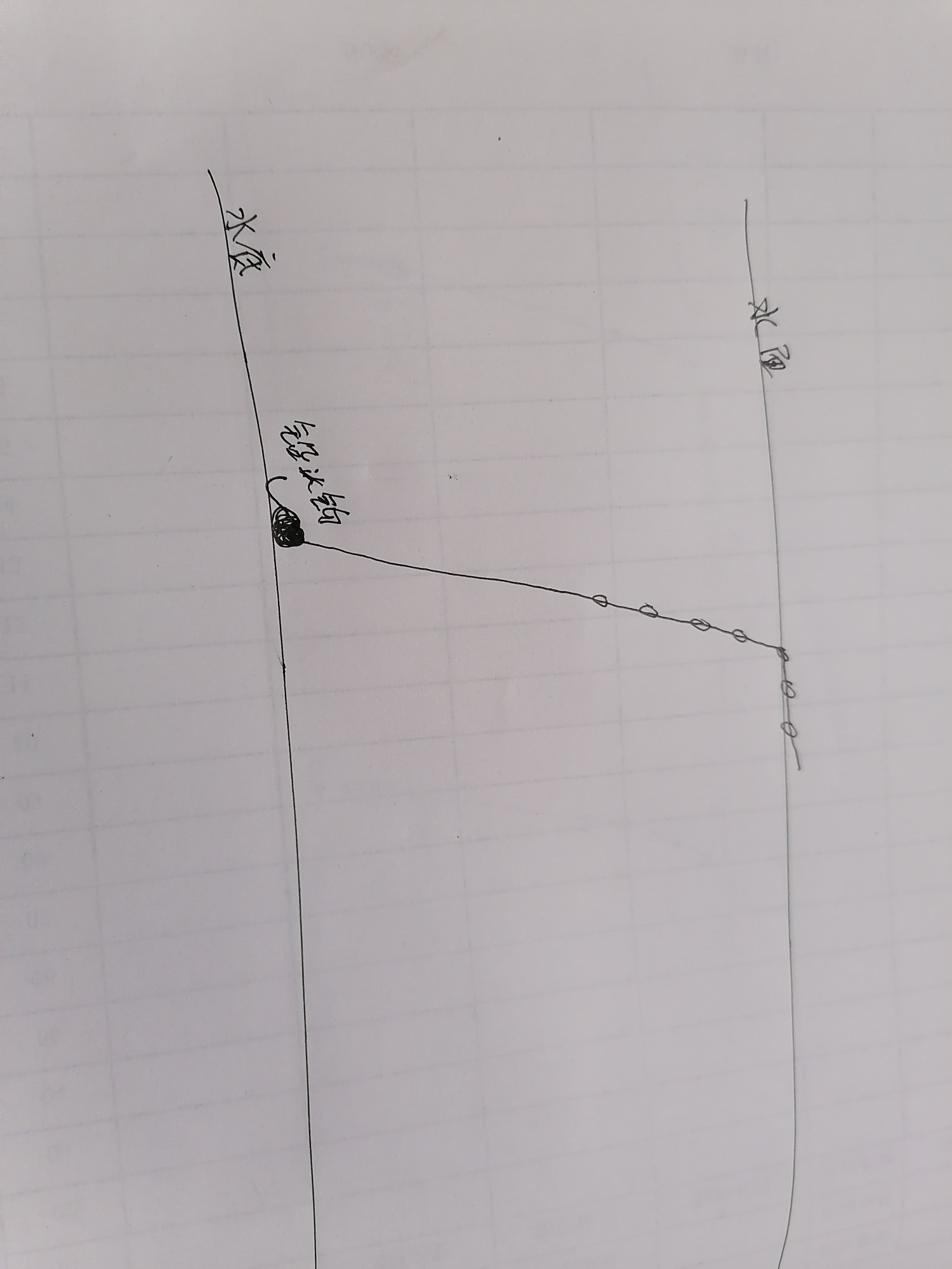 1616721635529656.jpeg