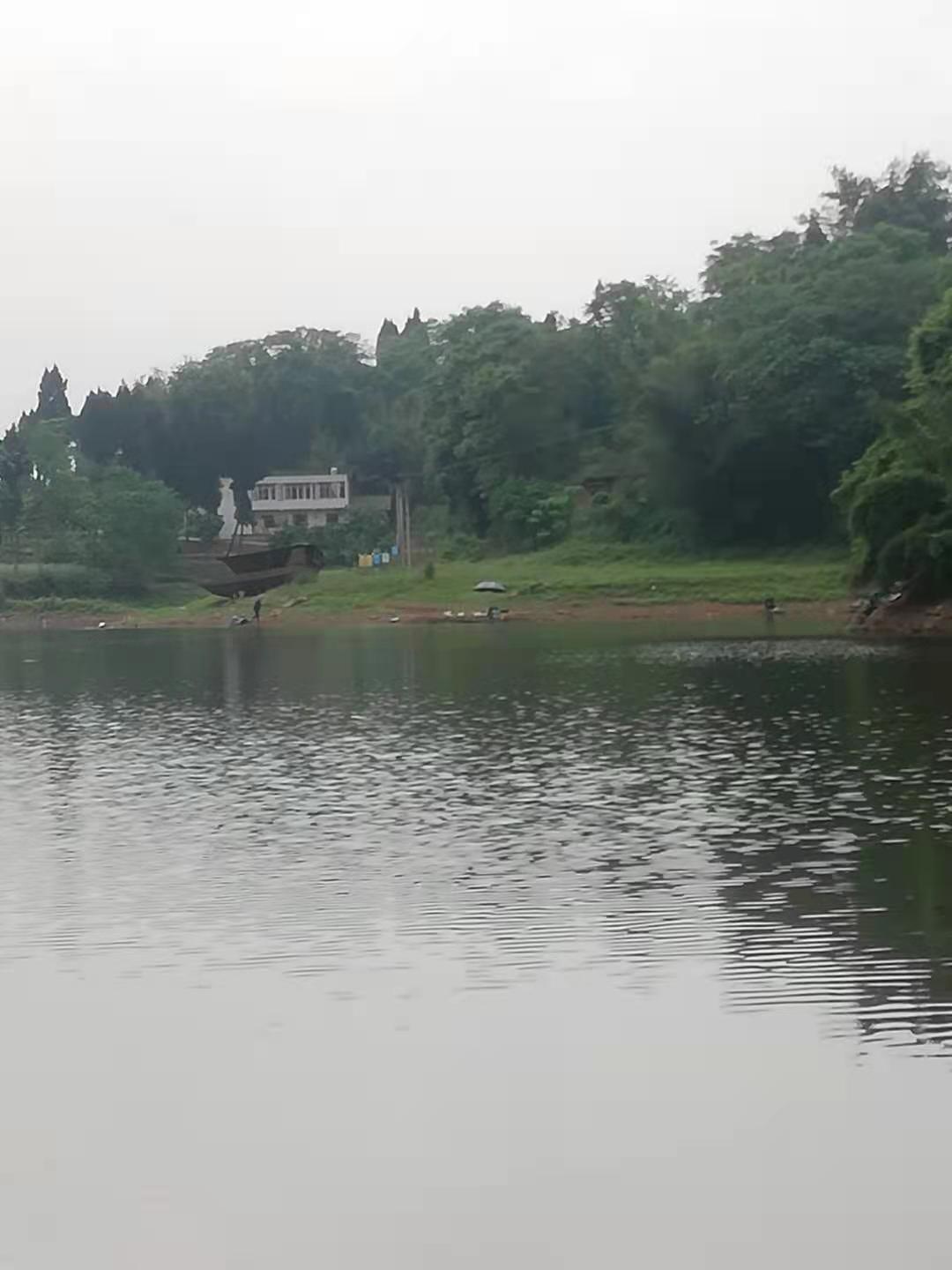 1618920136271963.jpeg