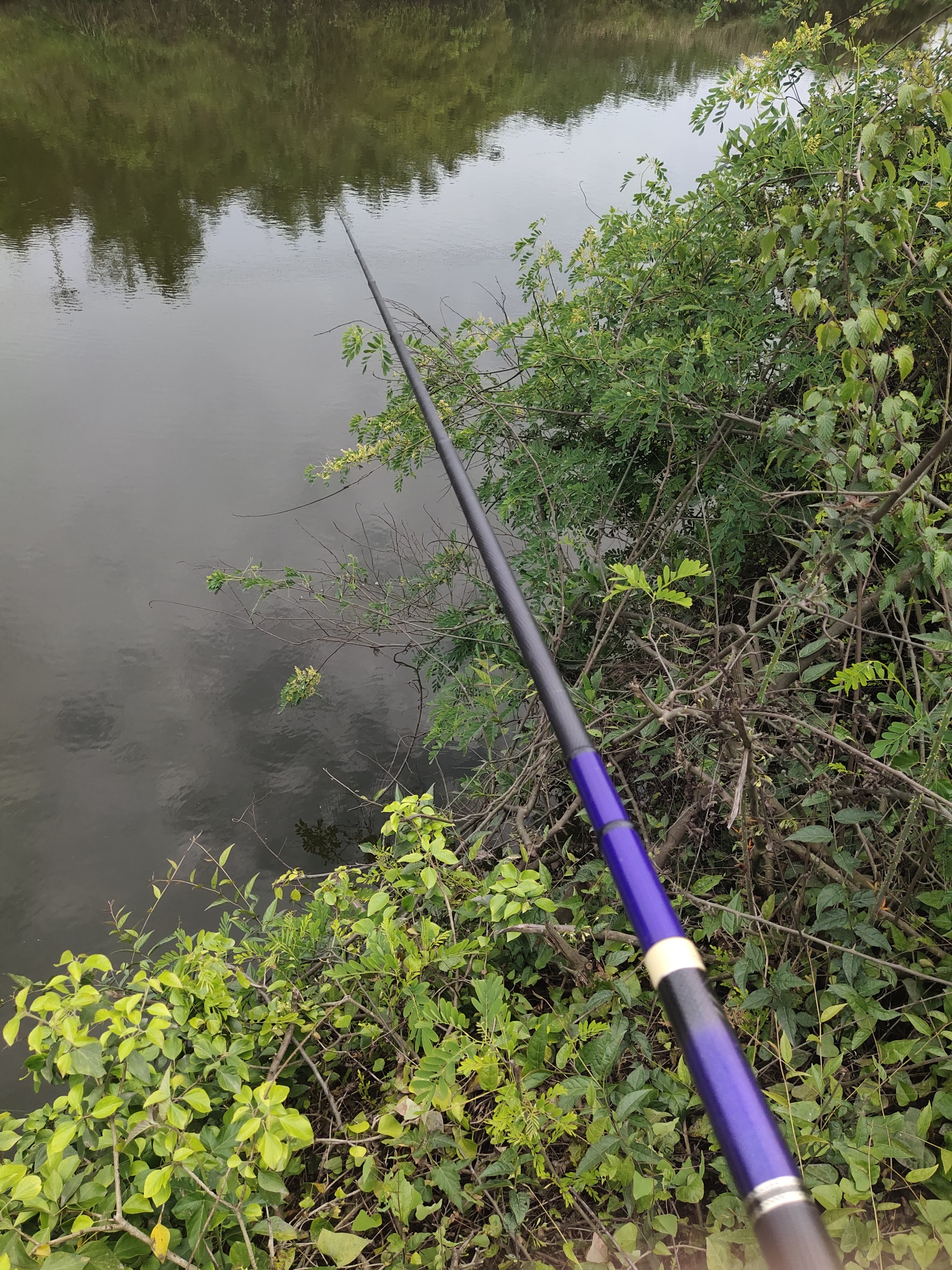 1620646451620706.jpeg