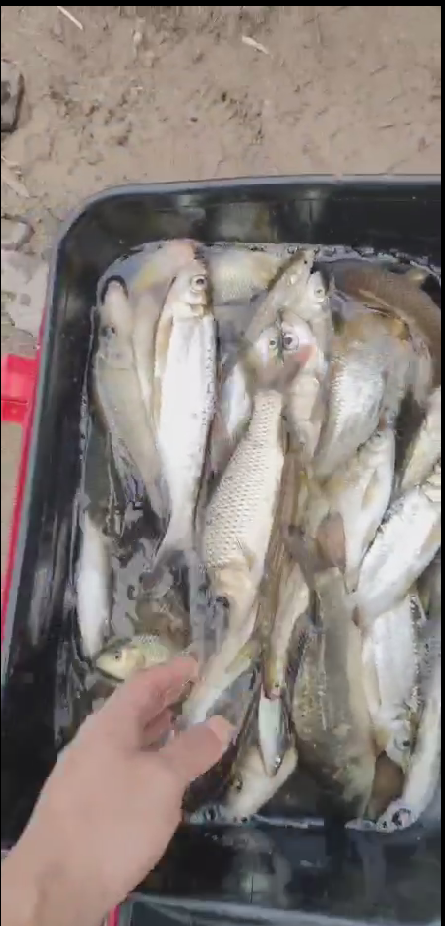QQ图片20210625150810.png