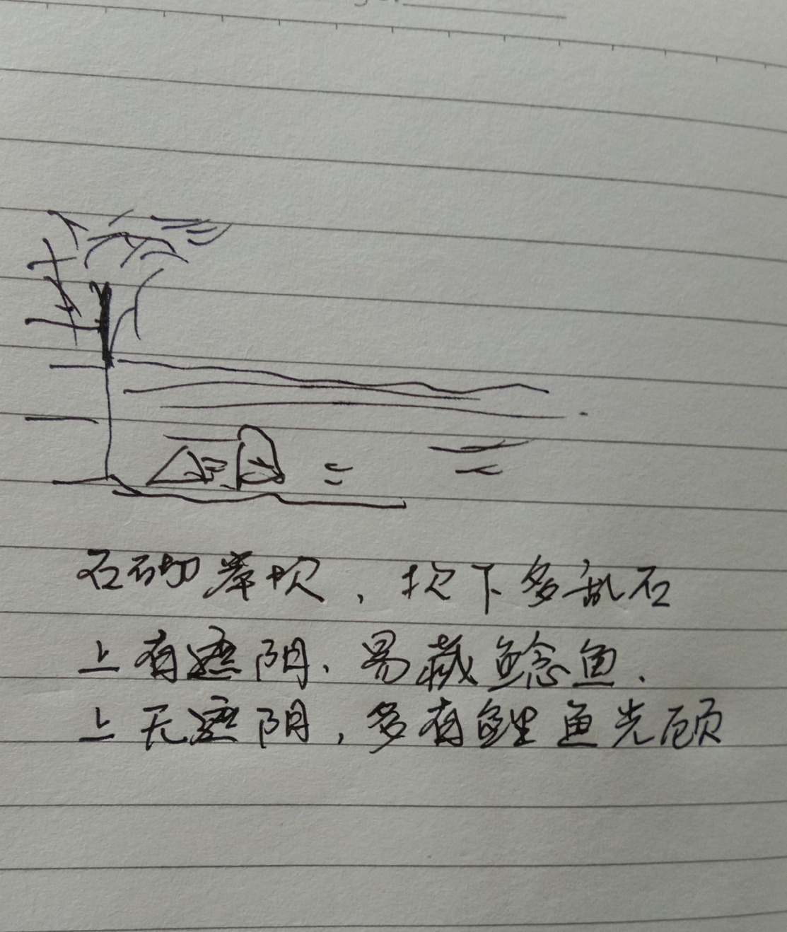 1625133095549666.jpeg