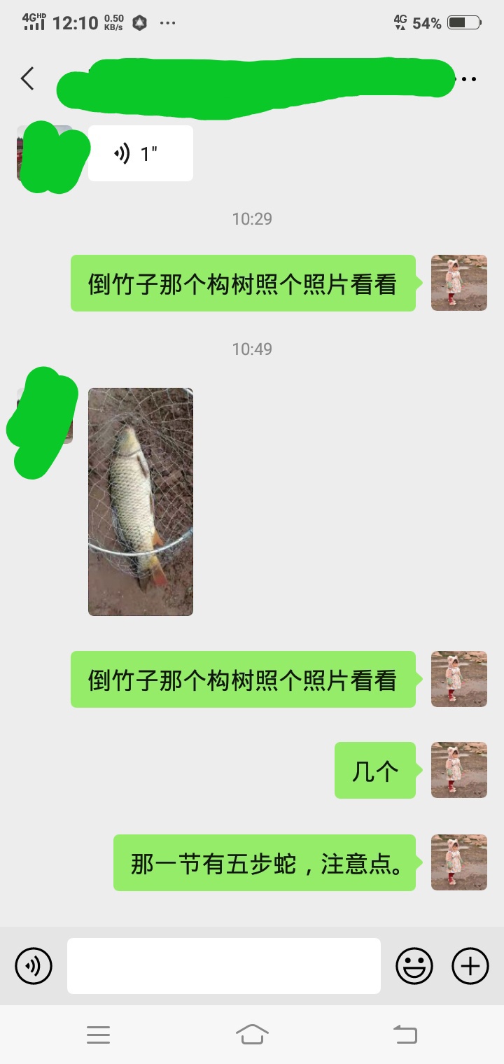 162580882438191.jpeg
