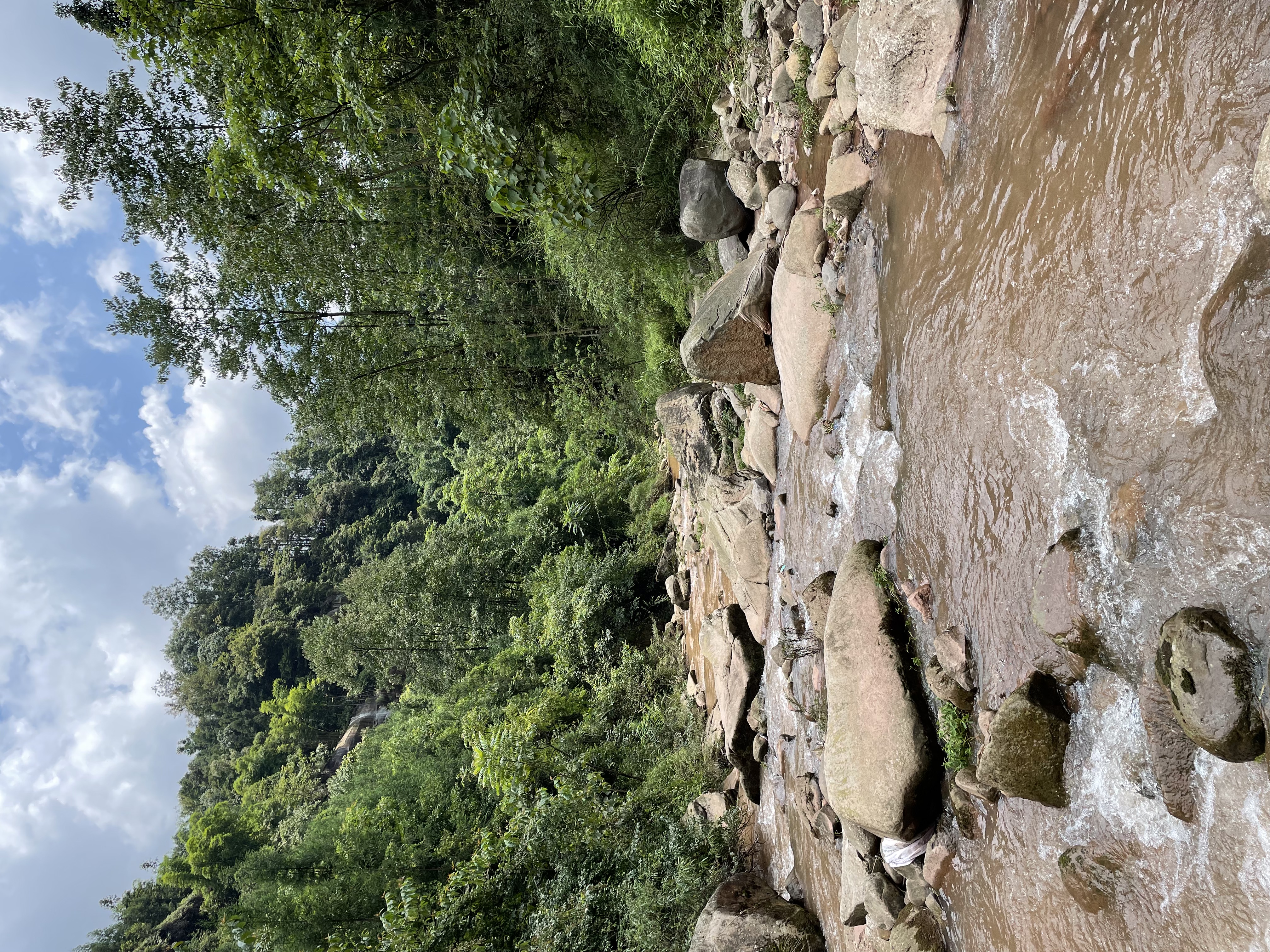 IMG_0172.jpeg