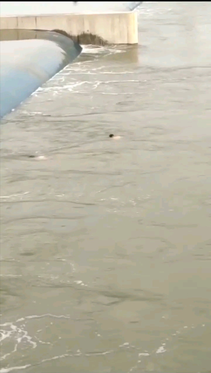 1628557980953474.jpeg