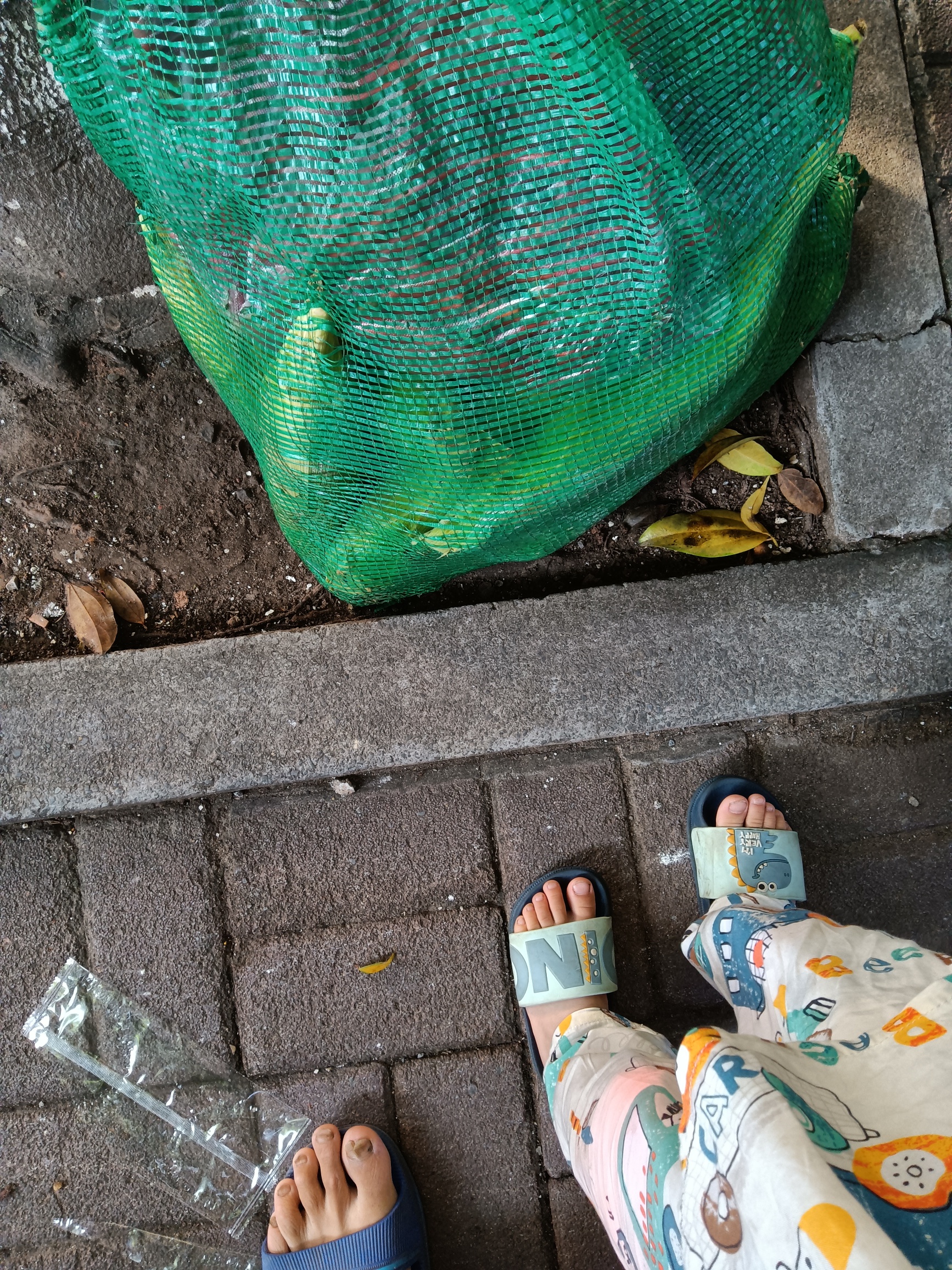 1629070478719652.jpeg